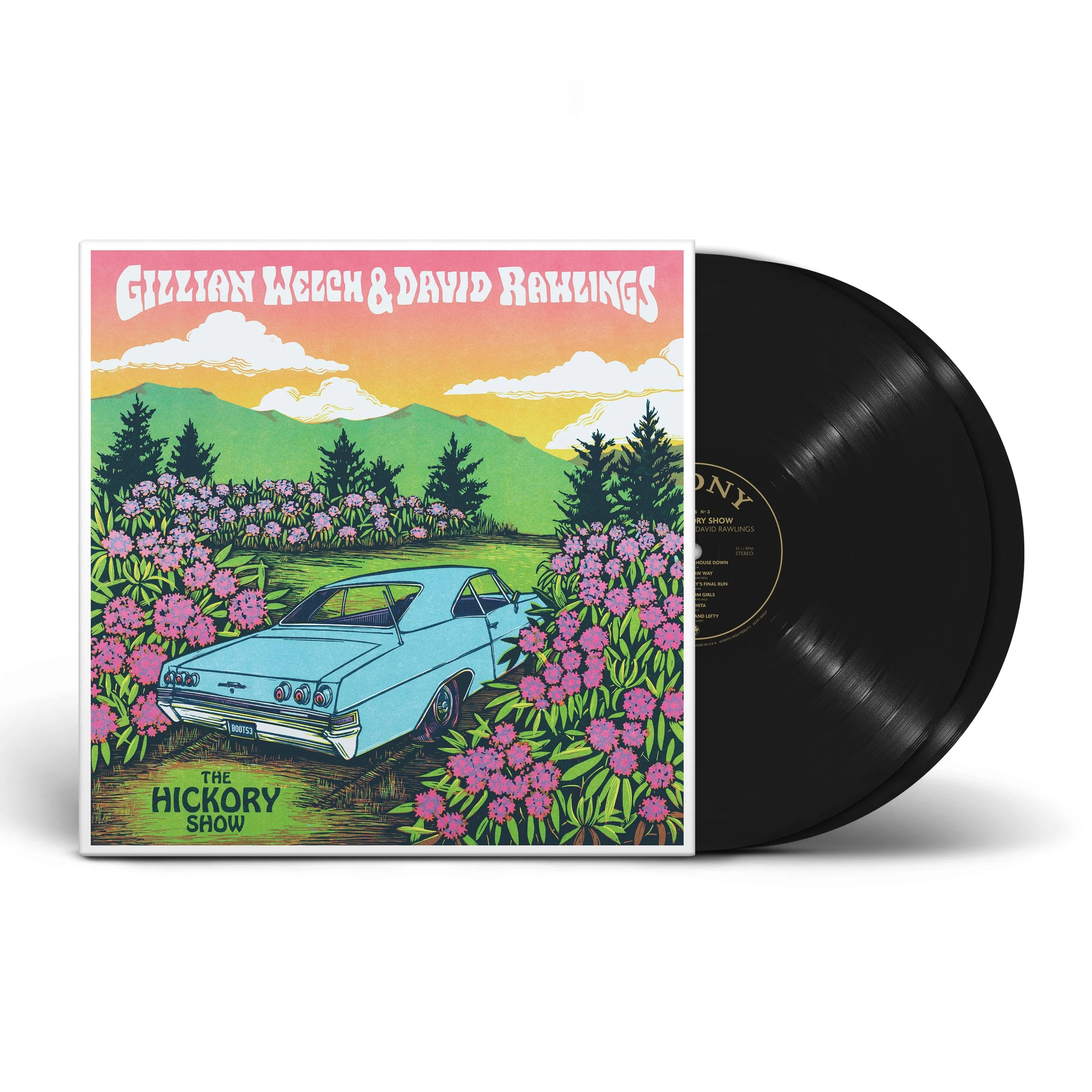 TheHickoryShow_Vinyl_Mockup.jpg