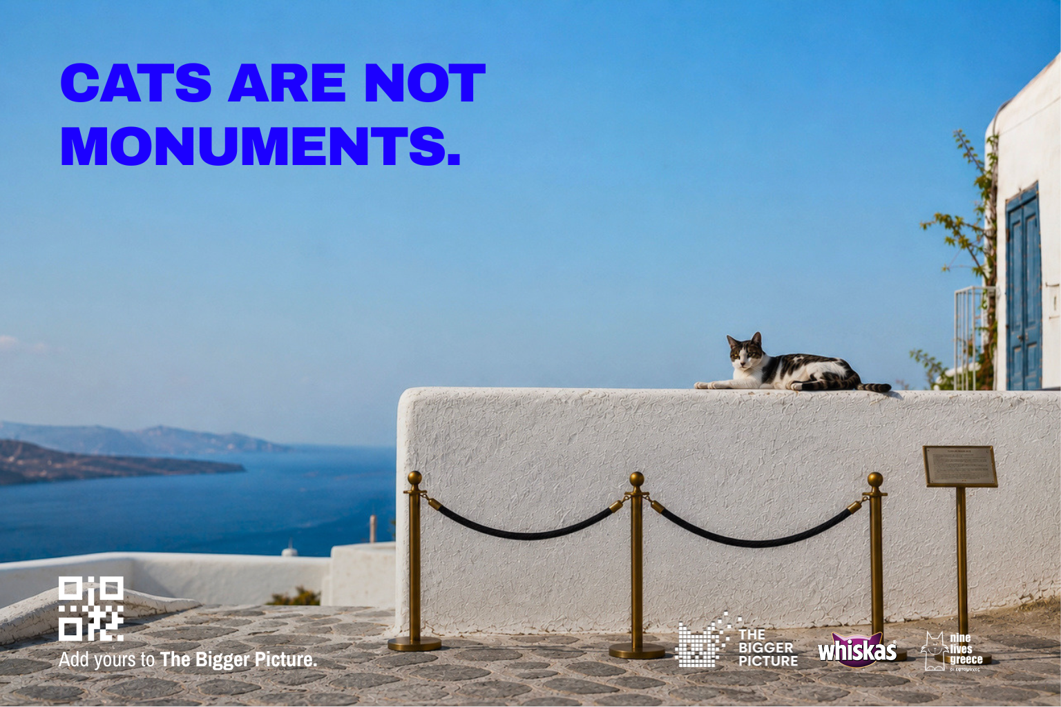CATS ARE NOT MONUMENTS-4.png