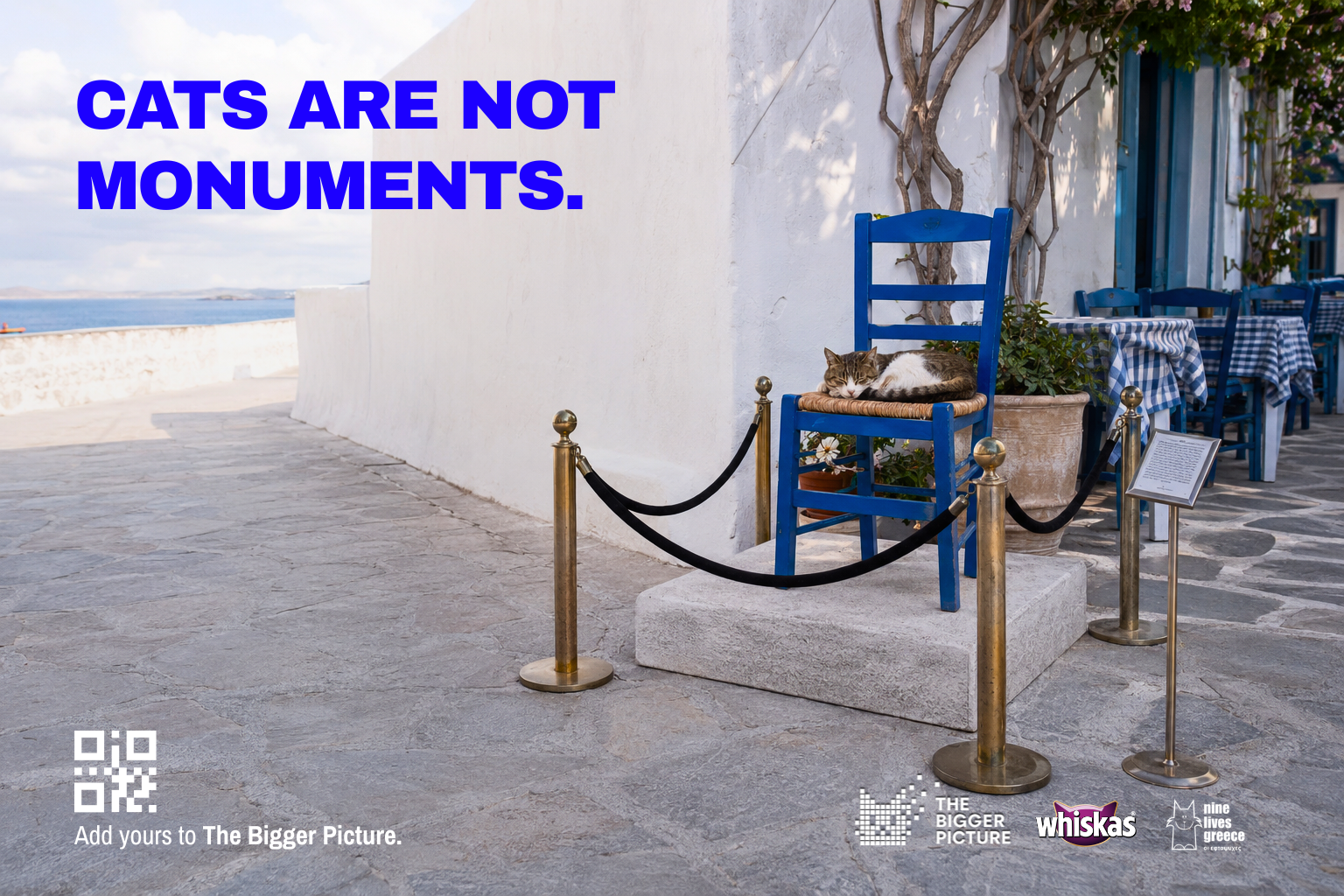 CATS ARE NOT MONUMENTS-3.png
