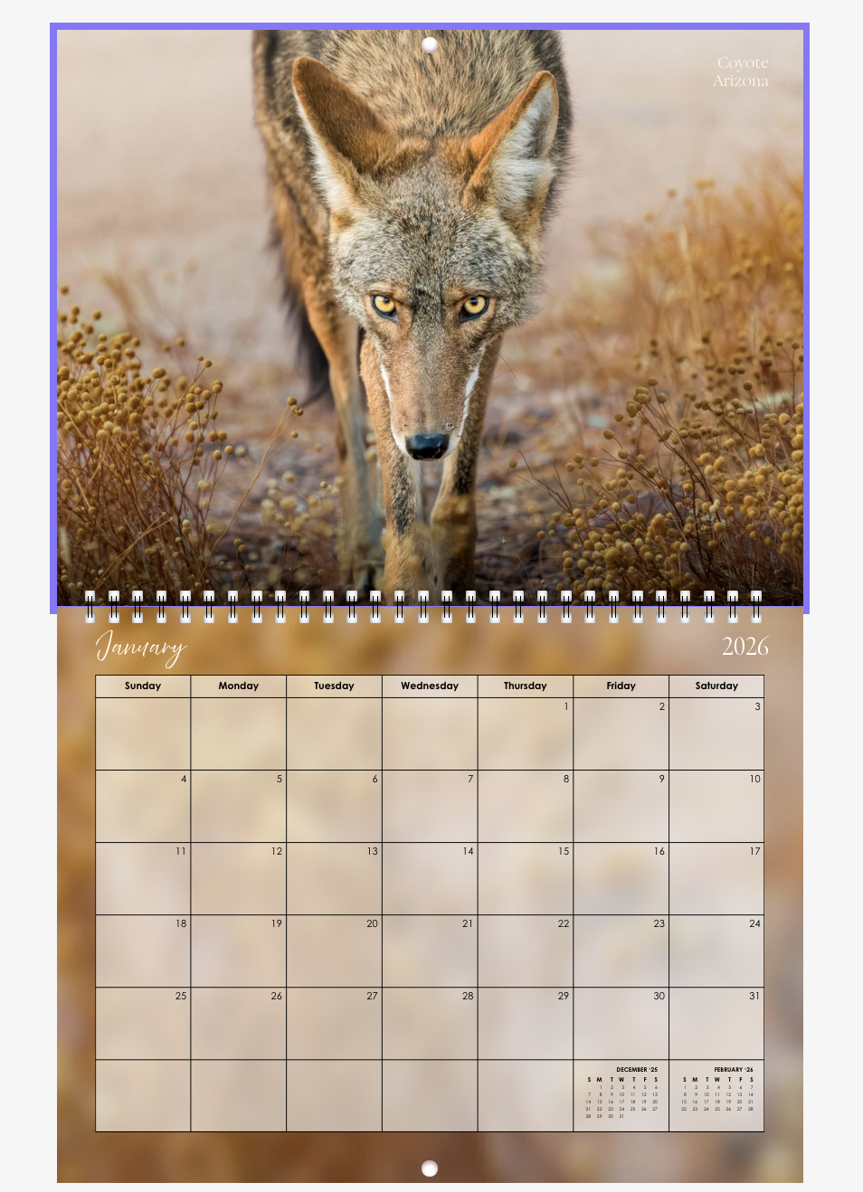 Screenshot 2026-01-01 at 12.24.36 PM.png