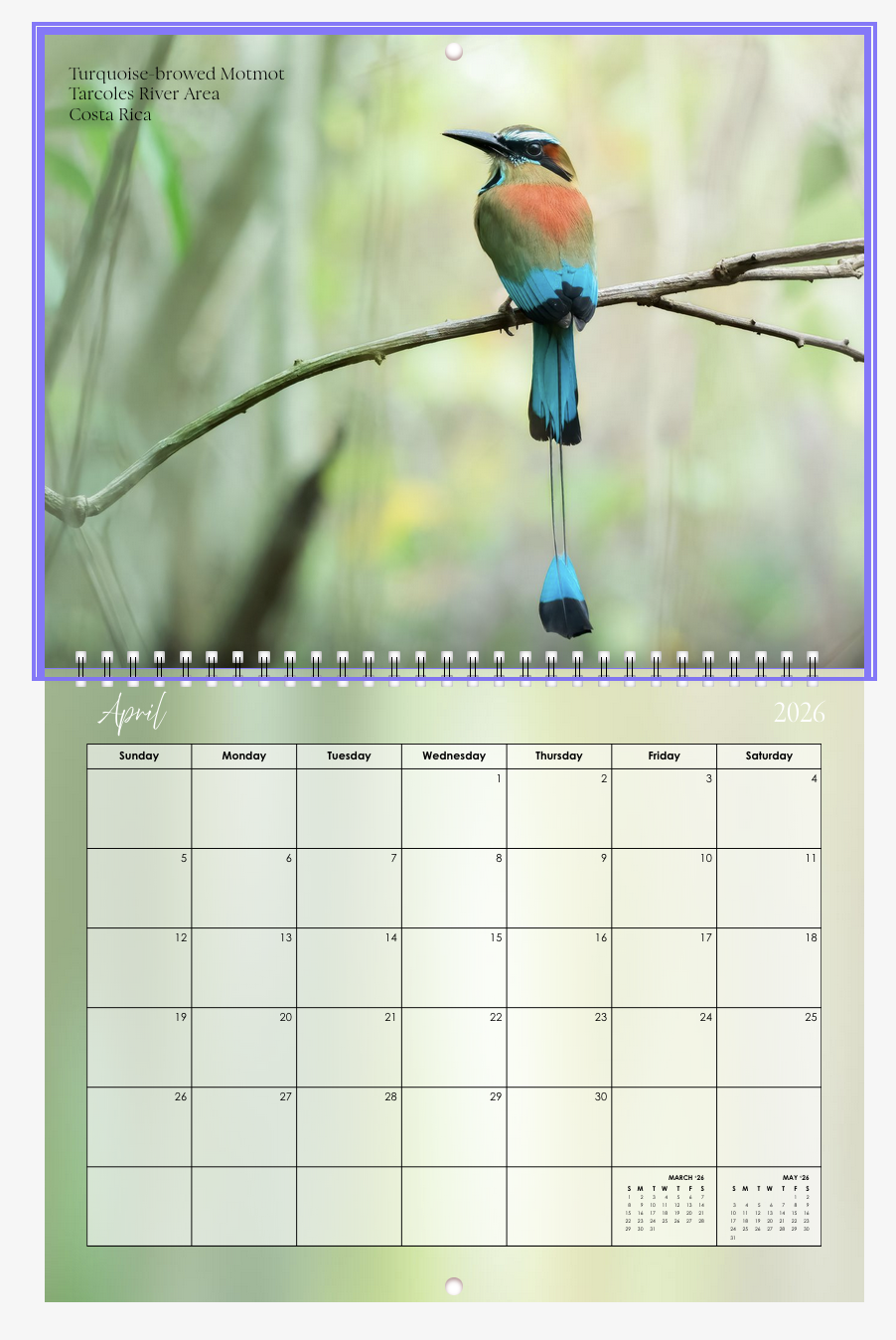 Screenshot 2026-01-01 at 12.25.08 PM.png