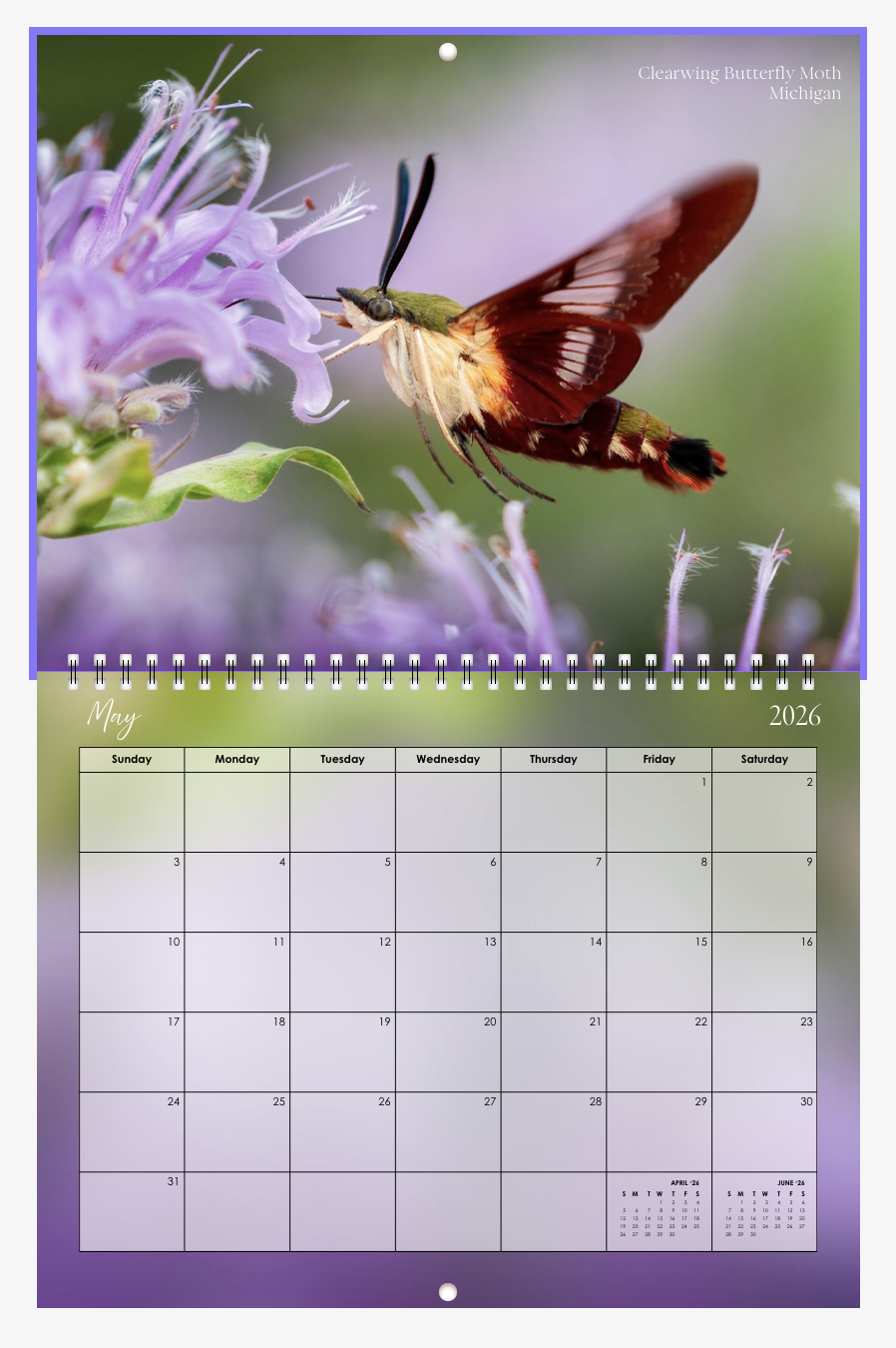 Screenshot 2026-01-01 at 12.25.18 PM.png