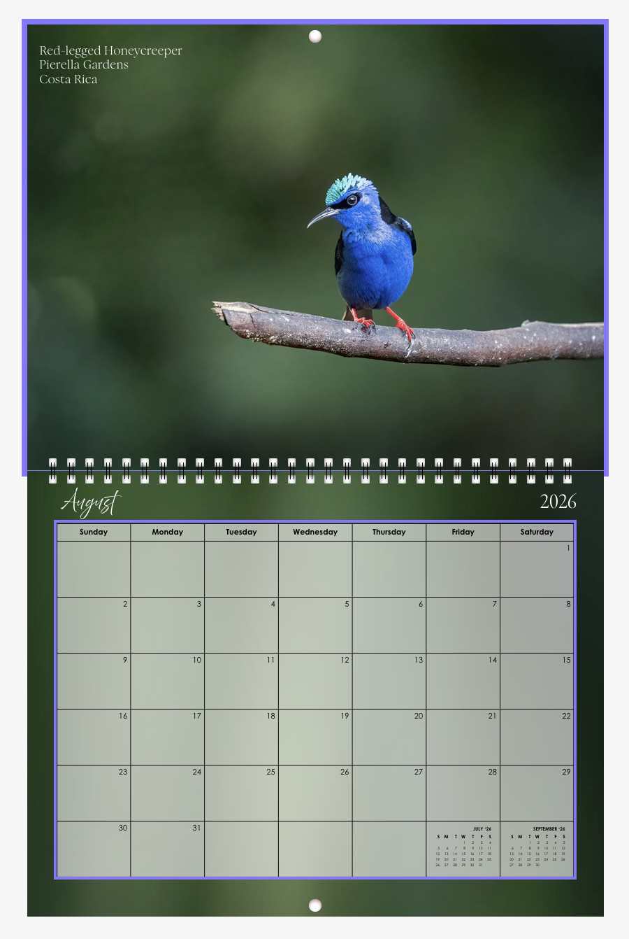 Screenshot 2026-01-01 at 12.25.44 PM.png