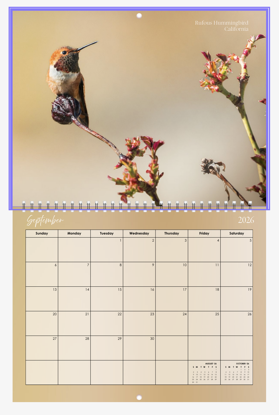 Screenshot 2026-01-01 at 12.25.52 PM.png