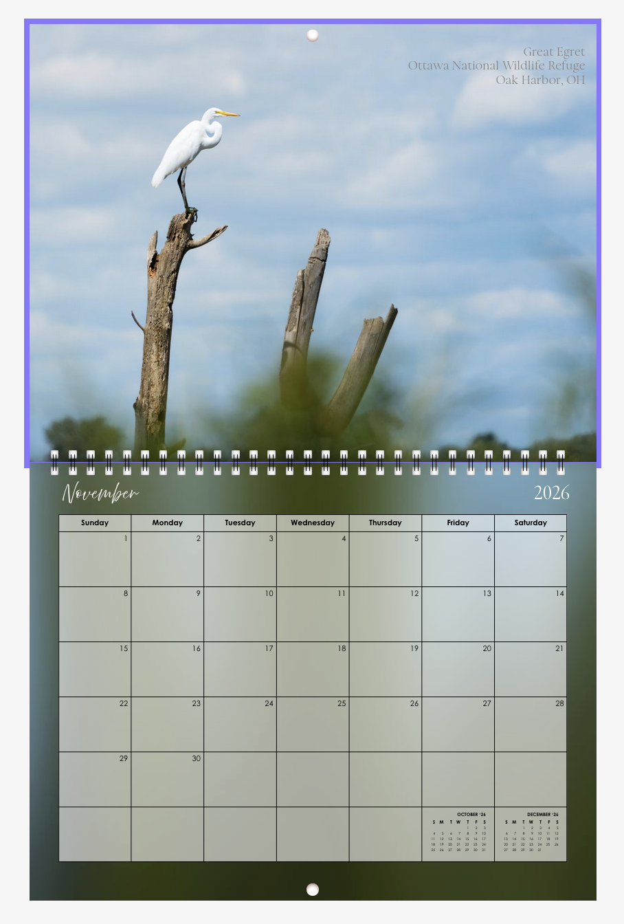 Screenshot 2026-01-01 at 12.26.09 PM.png