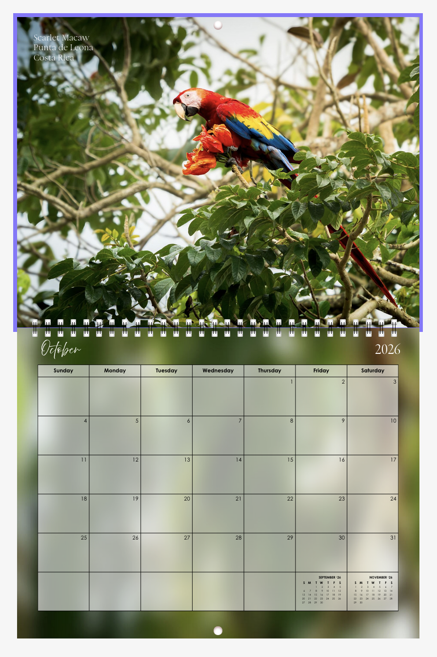 Screenshot 2026-01-01 at 12.26.00 PM.png