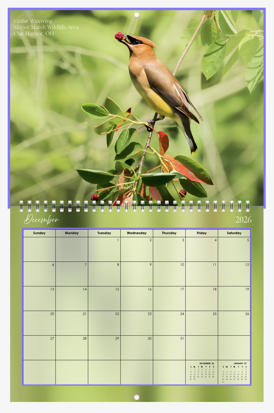 Screenshot 2026-01-01 at 12.26.17 PM.png