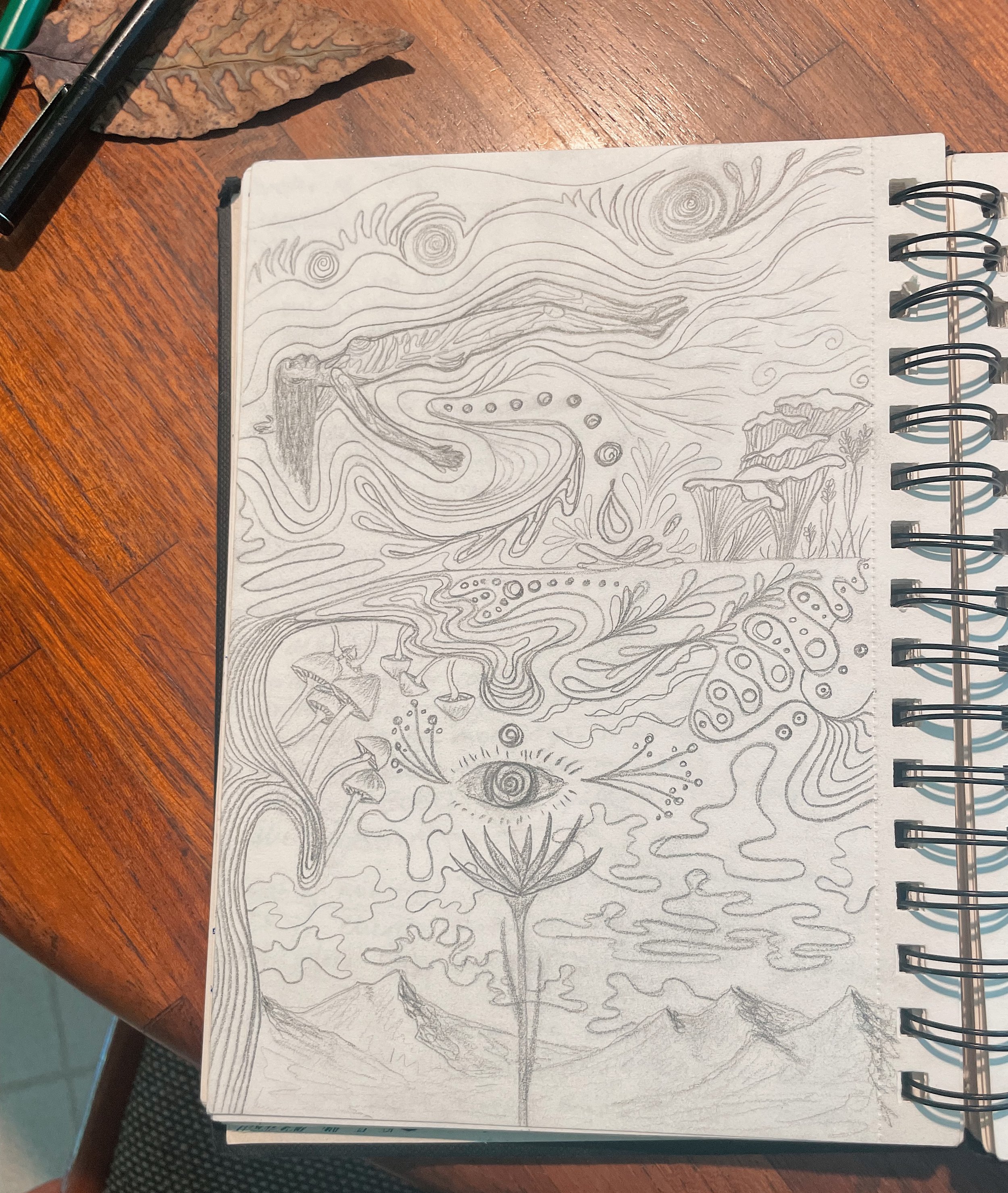 floating reflections (not for sale)