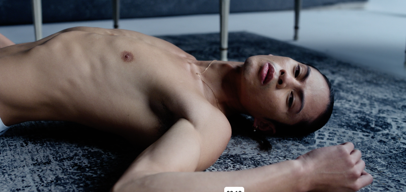 Screen Shot 2023-12-11 at 1.17.30 PM.png