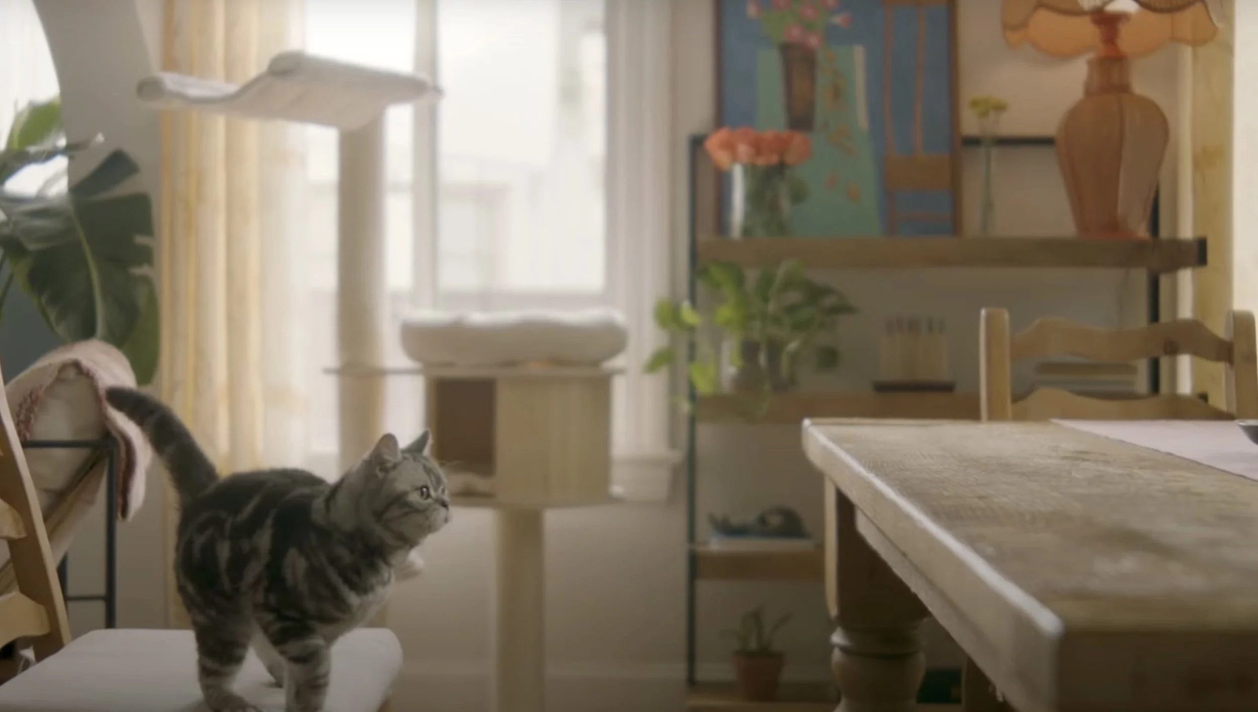 Screen Shot 2023-08-16 at 2.45.02 PM.jpg