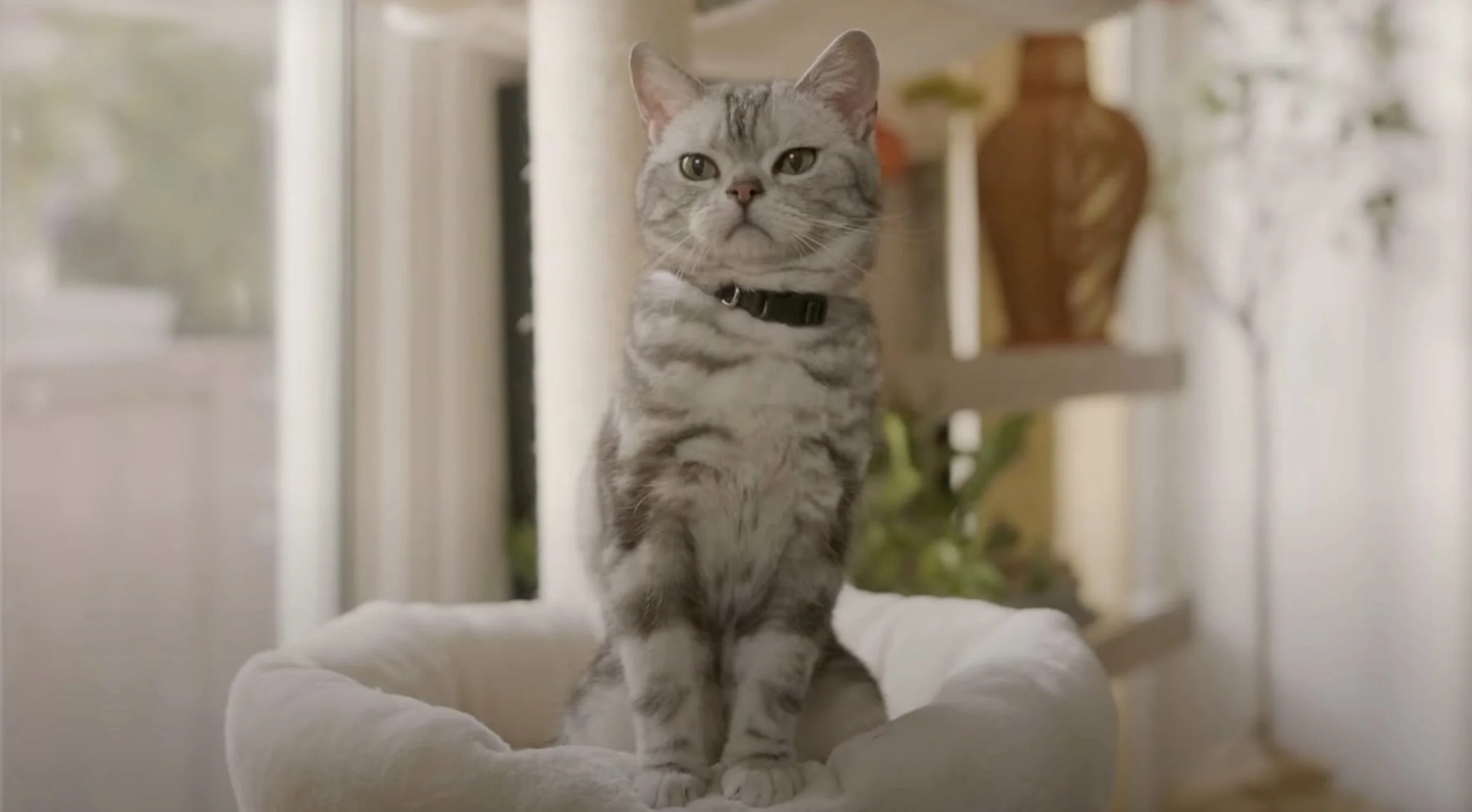 Screen Shot 2023-08-16 at 2.43.11 PM.jpg