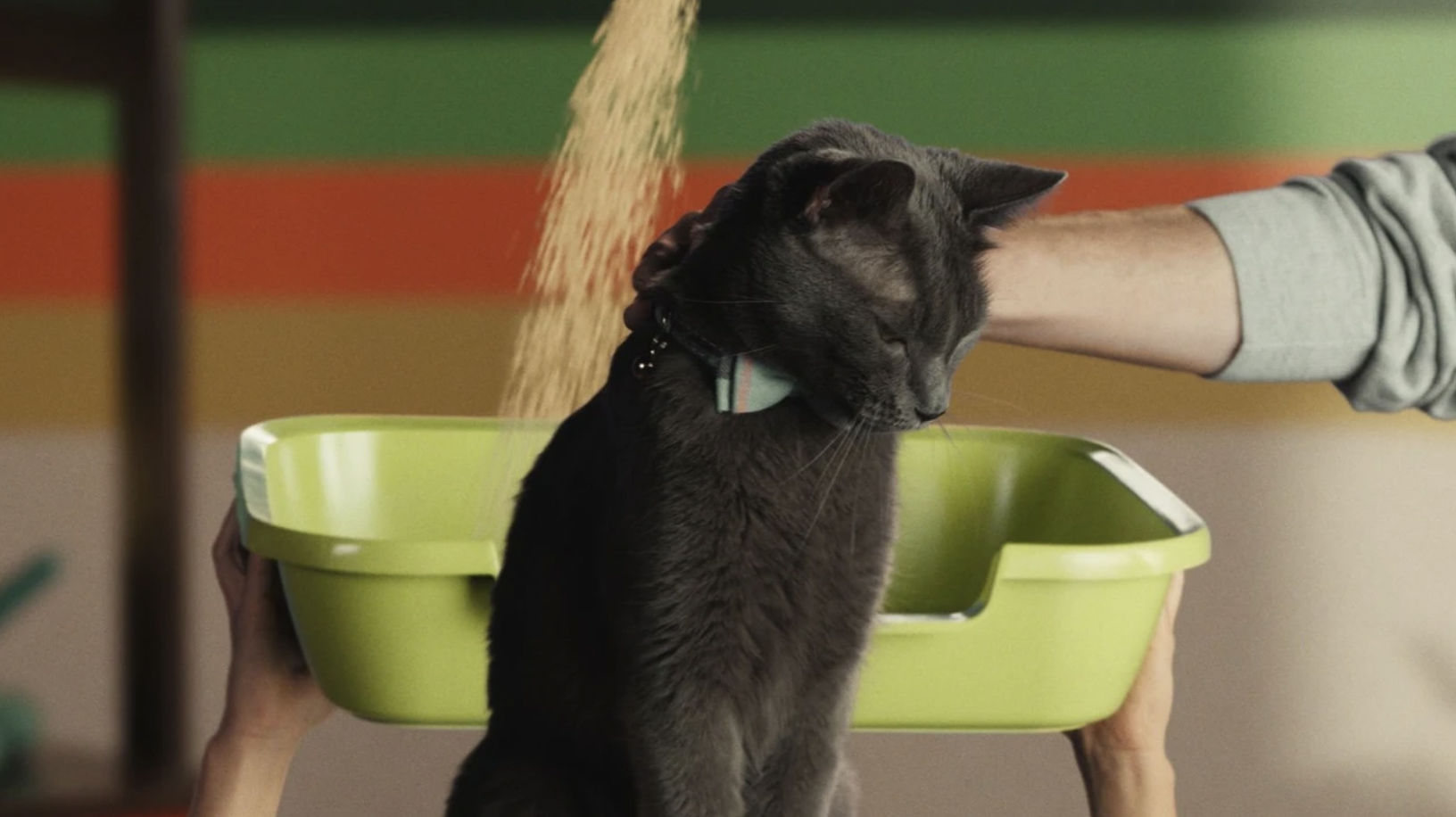 Screen Shot 2023-12-11 at 1.25.00 PM.png