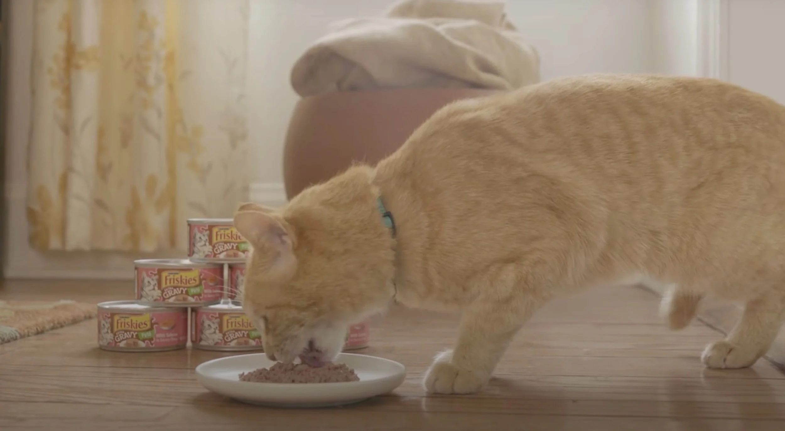 Screen Shot 2023-08-16 at 2.44.13 PM.jpg