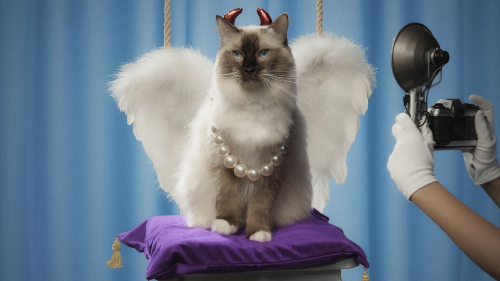 Screen Shot 2023-12-11 at 1.24.31 PM.png