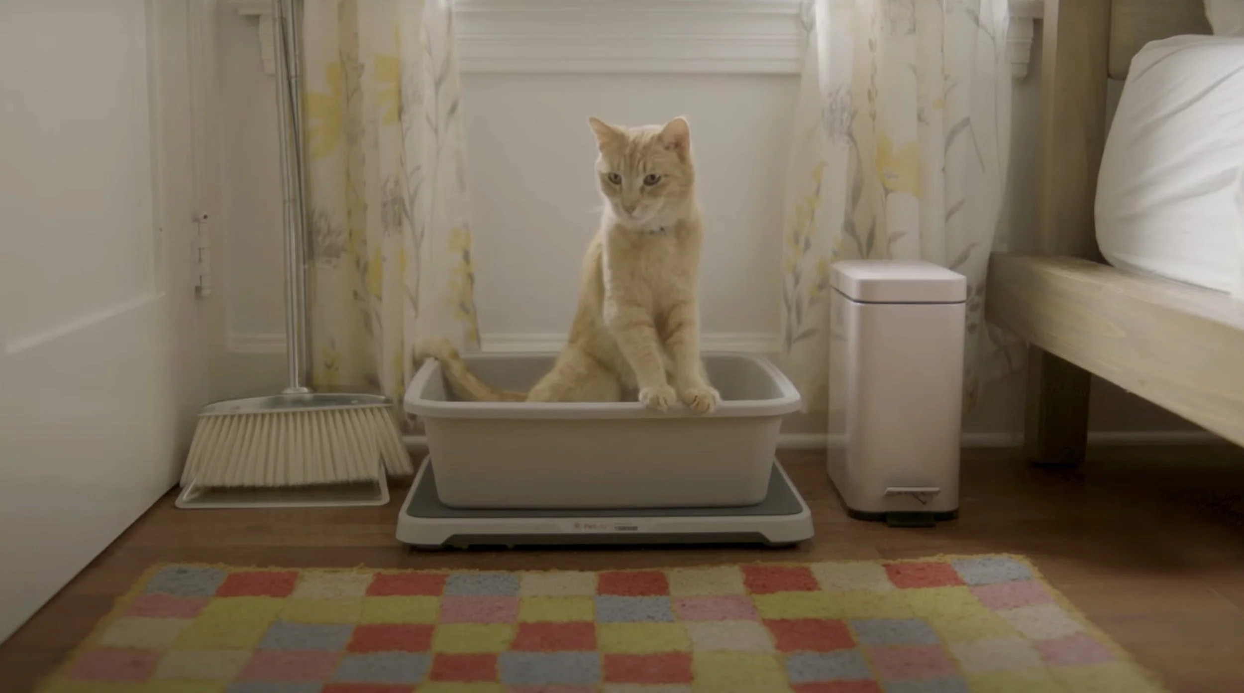 Screen Shot 2023-08-16 at 2.42.22 PM.jpg