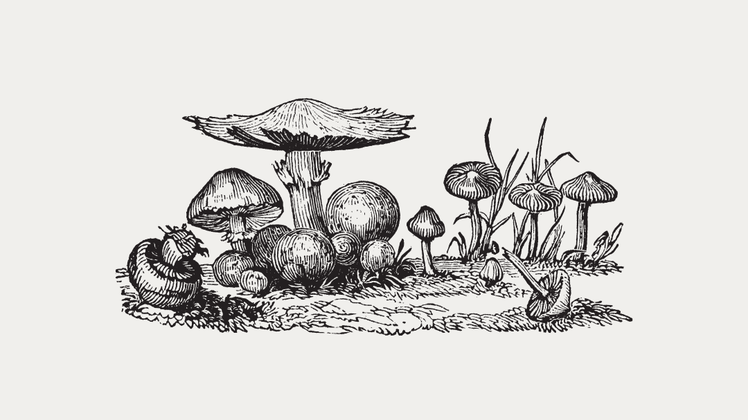 Earth Day Nature Walk | Rooted in Community