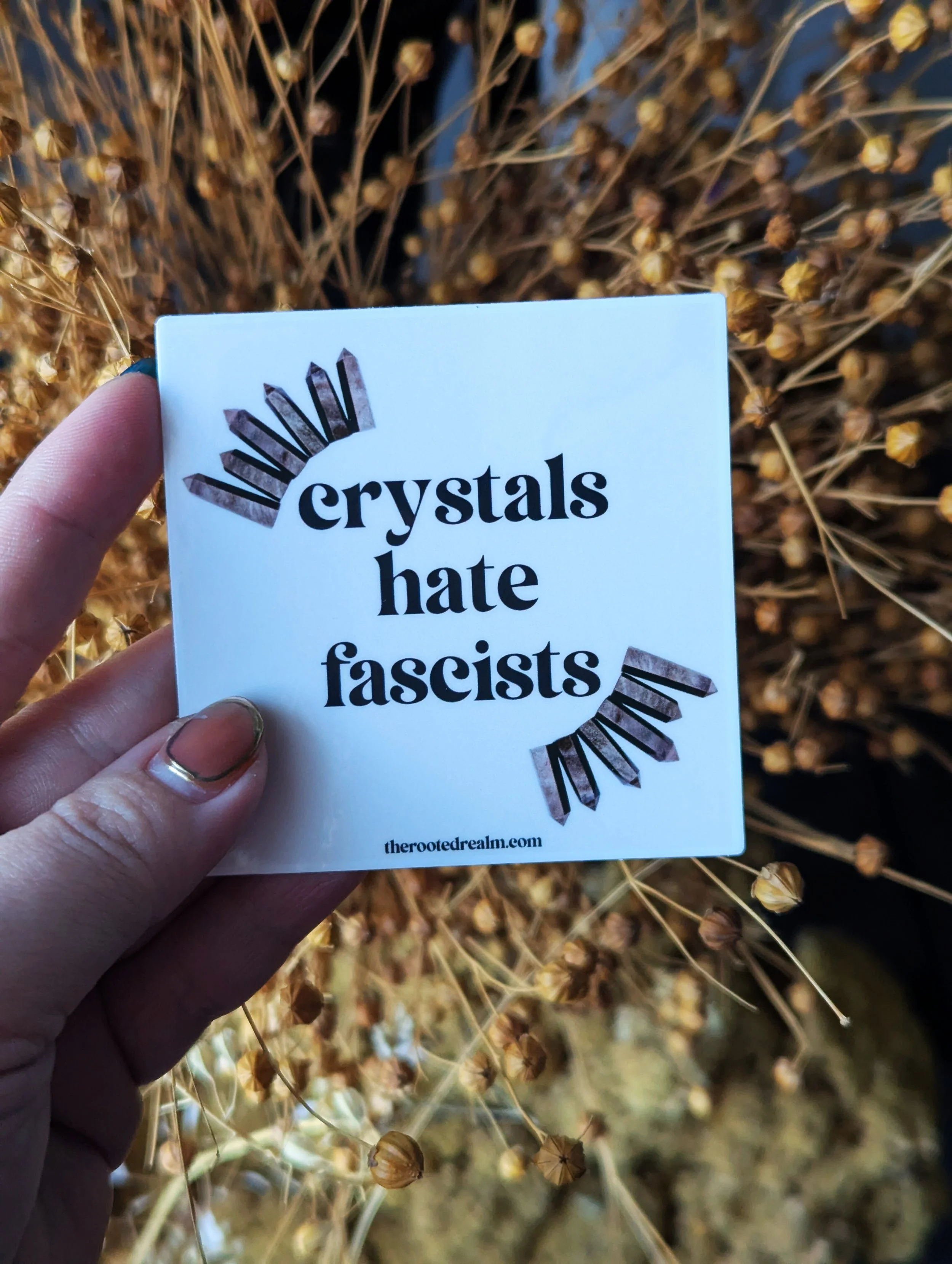 PXL_20260319_141153411 - Edited.jpg