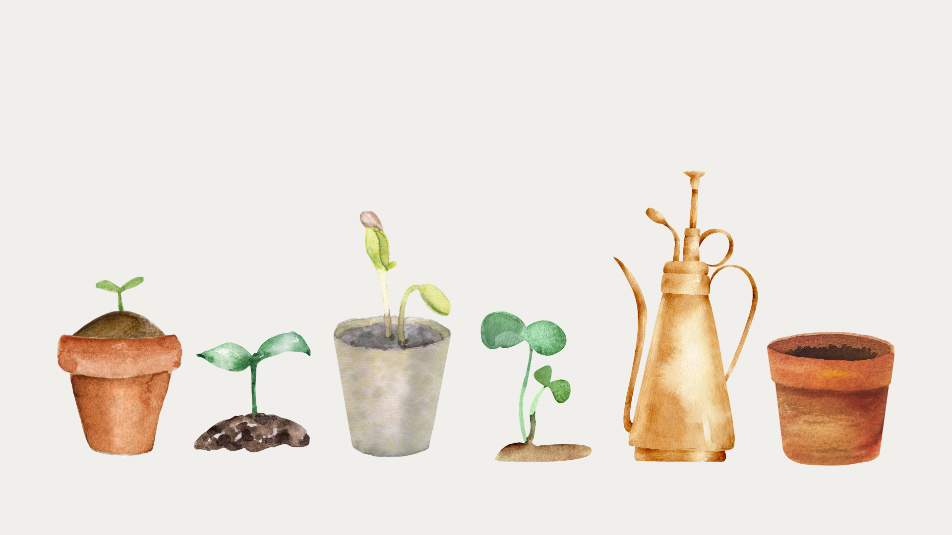 Plant Intentions Workshop