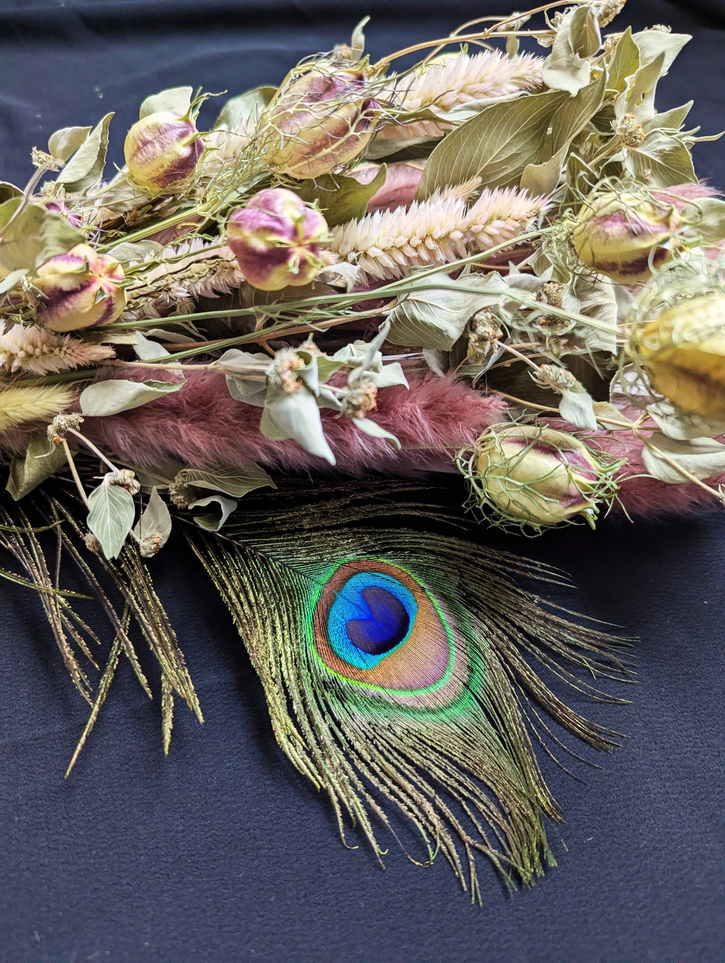 PXL_20251211_175220354 - Edited.jpg