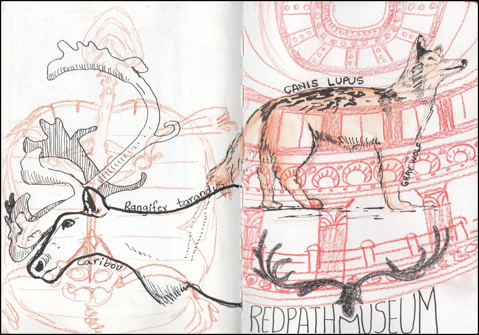 redpath museuum.jpg