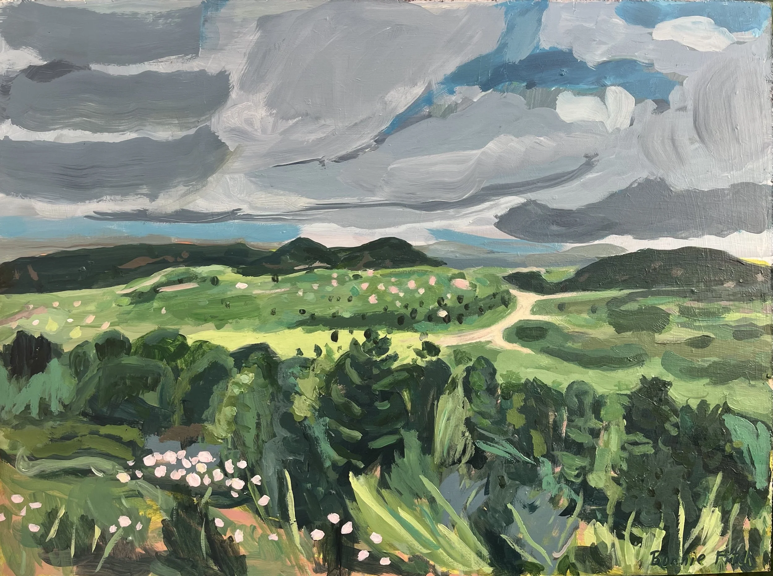 Norwegian Hills