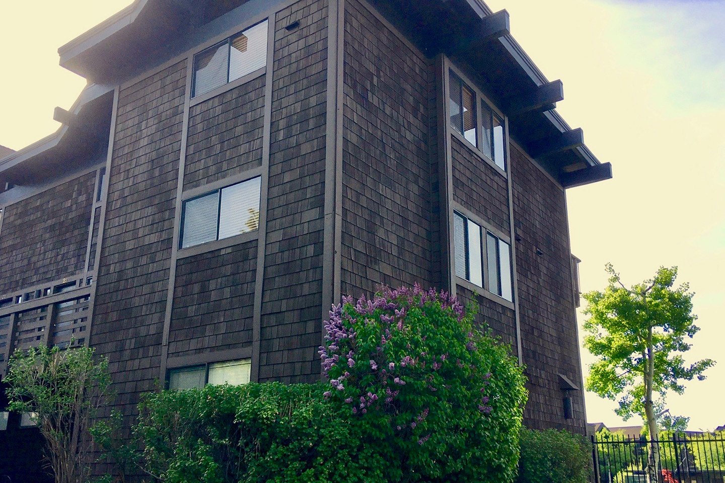 unit 18 view of wood-shingled building from outside looking up, greenery around base of building