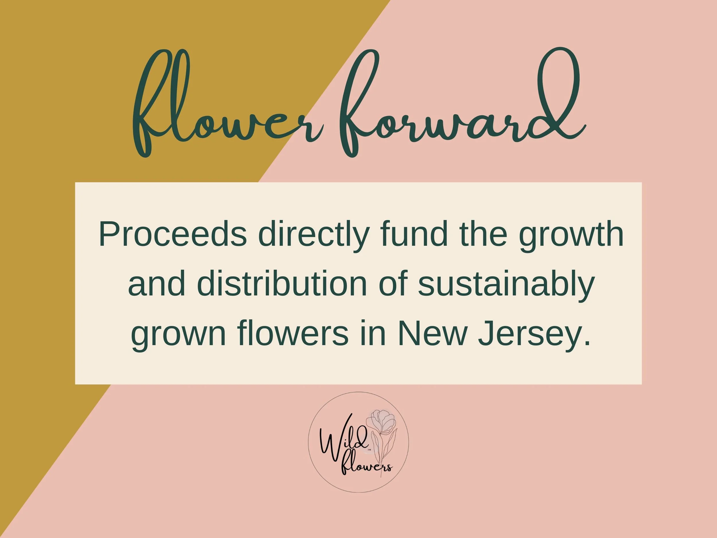 _Listing photos rooted Print.jpg