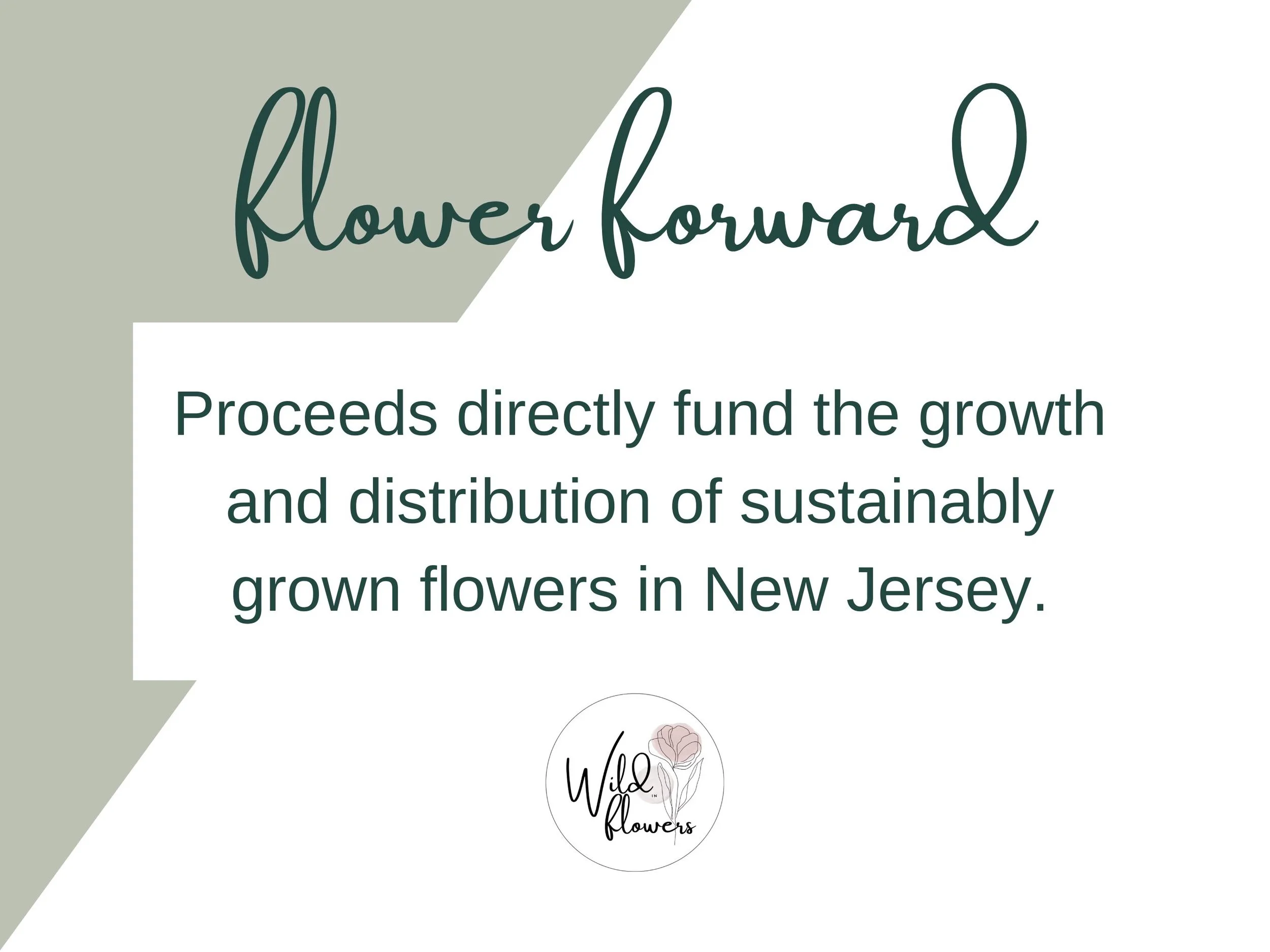 Composting  Sustainable Floristry Listing Photo Templates.jpg