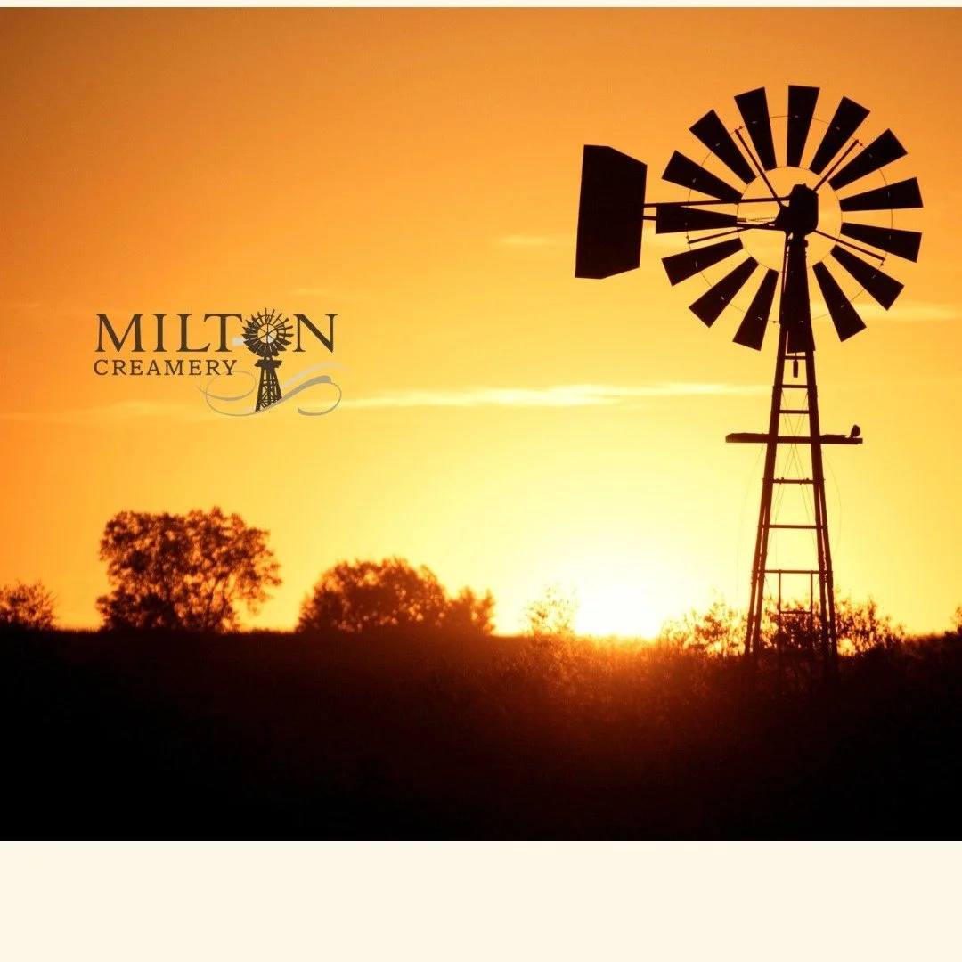 At Milton Creamery, cheese-making is a labor of love.
We start with milk from small, family-run farms and craft our cheeses using time-honored methods, skilled hands, and a whole lot of care.

No artificial growth hormones.
No artificial coloring.
Ju