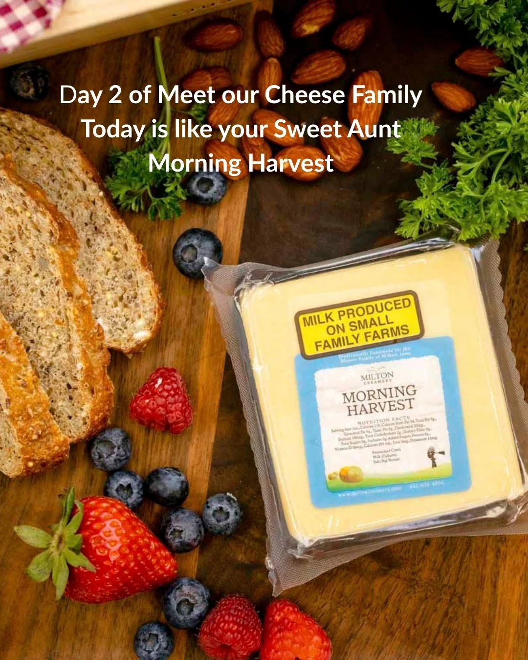 🧀 Day 2 of meet our cheese family
Today we introduce to you Morning Harvest, she is the Sweet Aunt of the family.

Every family has that one Aunt who makes everyone feel welcome, who always greets you with the big warm hug.

An American Original wit