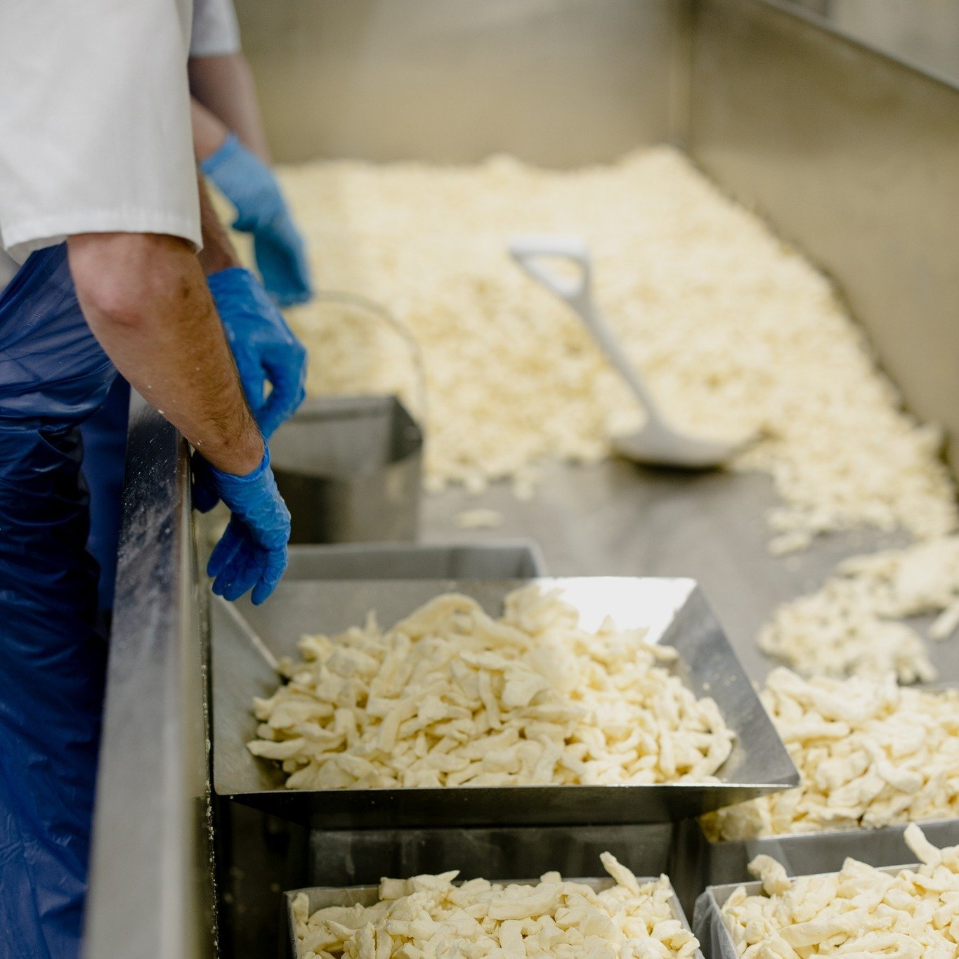 Handmade. Small batch. Done right.

At Milton Creamery, our cheese starts with fresh curds and skilled hands. From the vat to the mold, every batch is carefully handled to ensure the quality you expect from true artisan cheese.

It takes time, care, 