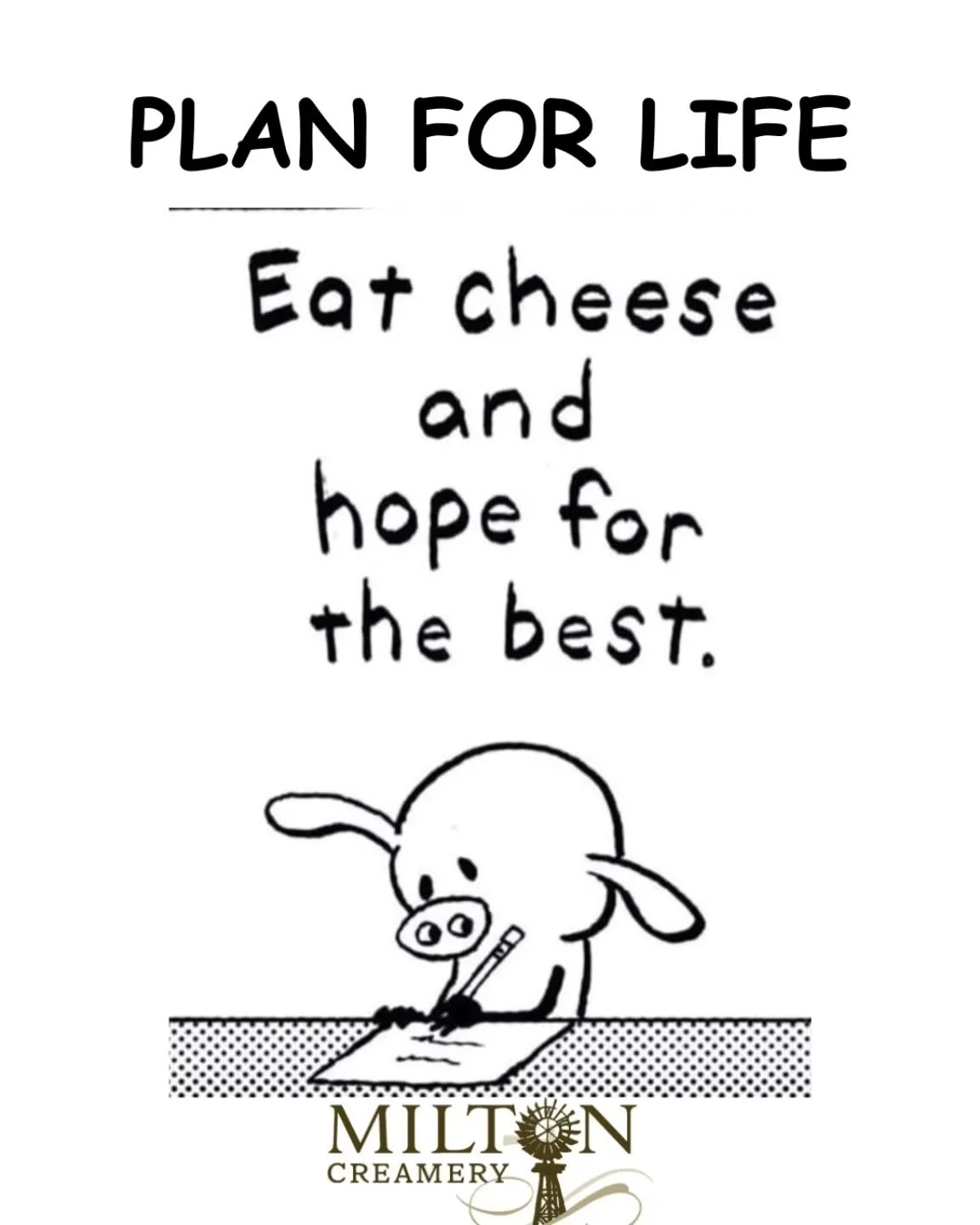 Seems like a good plan! 

#miltoncreamery ##prairebreezecheddar #cheeselovers #cheeseshop #cheesemonger