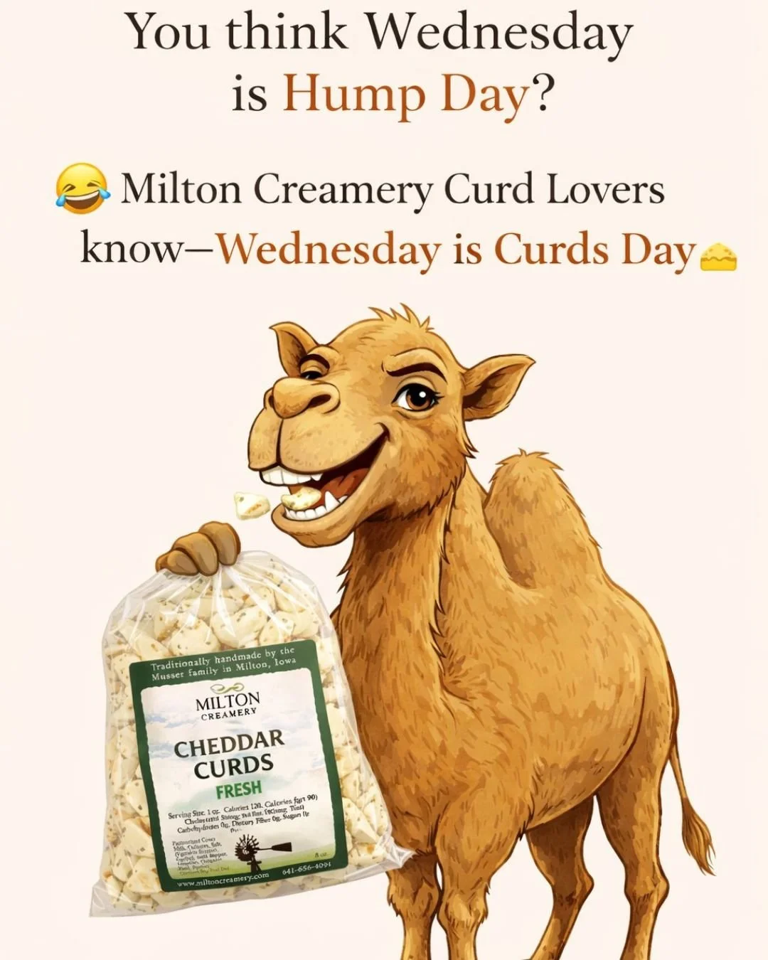IYKYK....Wednesday is fresh Curd Day at Milton Creamery!
This week featured flavors are:

Tomato Garlic- perfect to add to a pasta salad 
Pizza - great on garlic bread, broil for a few minutes and dip in marinara sauce
Dill - Toss  into a cucumber, t