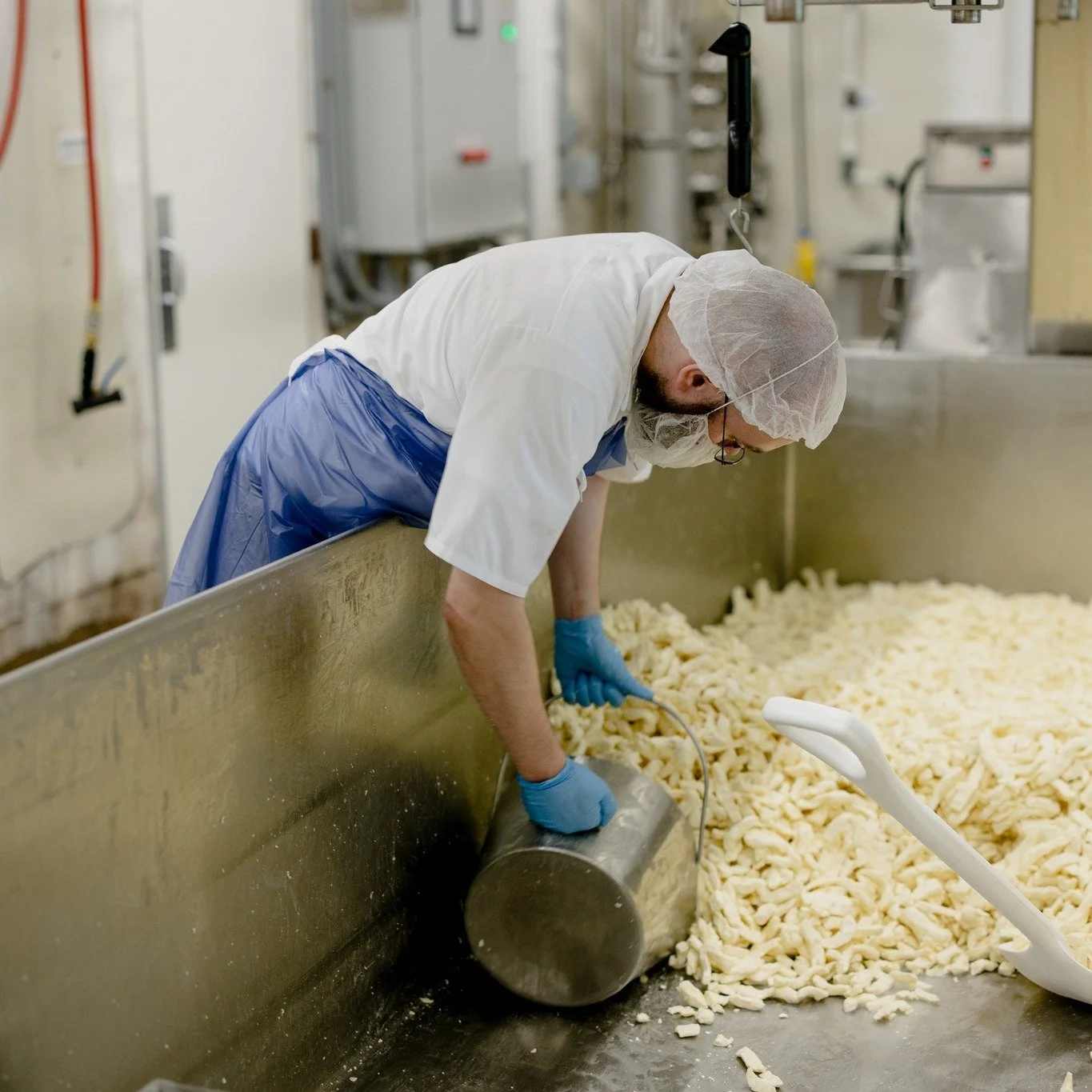 Did you know every block of cheese starts out looking absolutely nothing like cheese? 🧀

It all begins as curds.

Fresh curds are the "teenage years" of cheese&mdash;full of potential, a little squeaky, and not quite sure what they want to