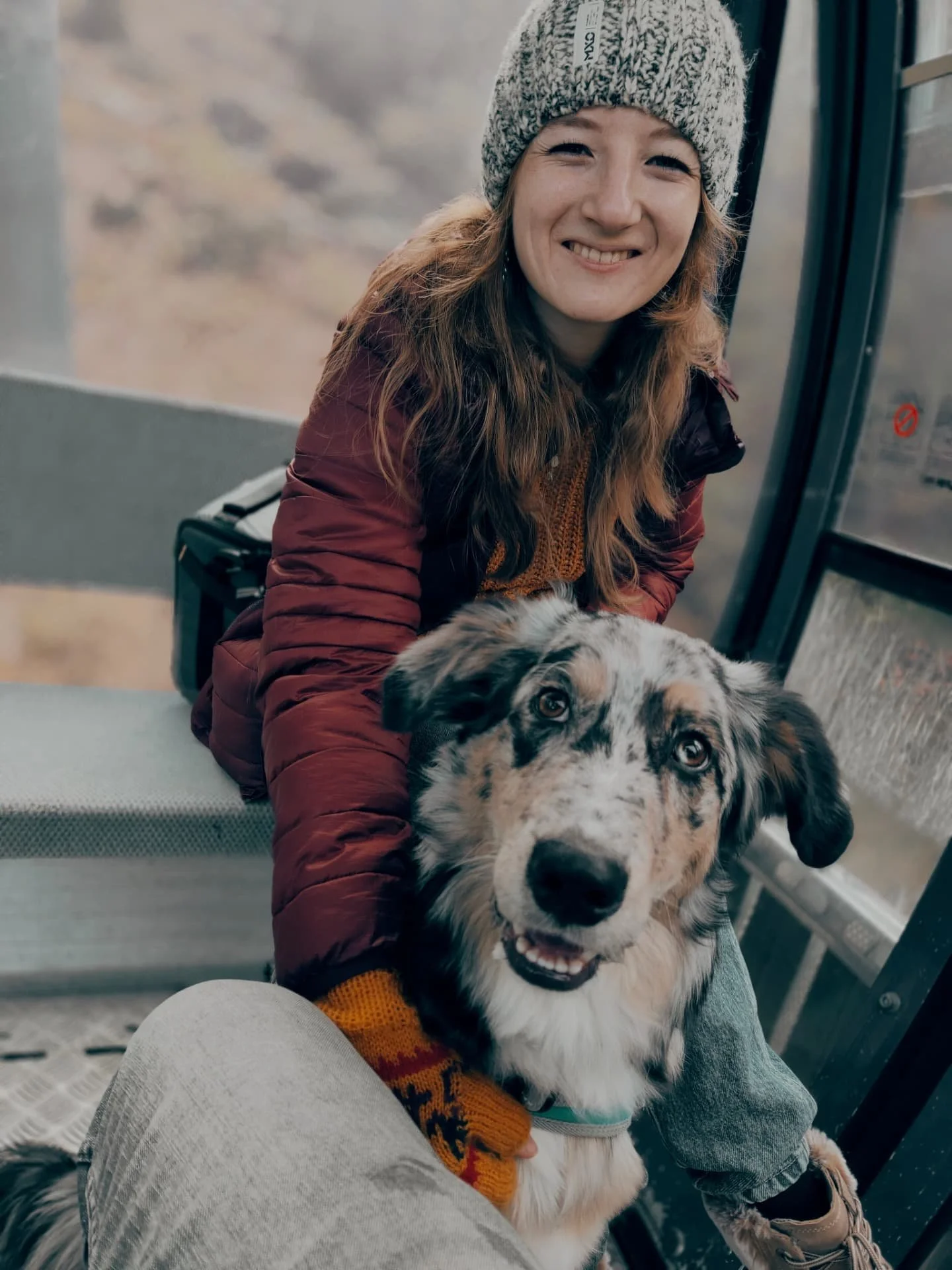 Mini 2-year throwback - so lucky to have my furry companion ❤️ They just give you unconditional love 😊
#dogventure #australianshepherd #mountainlove #furryfriend