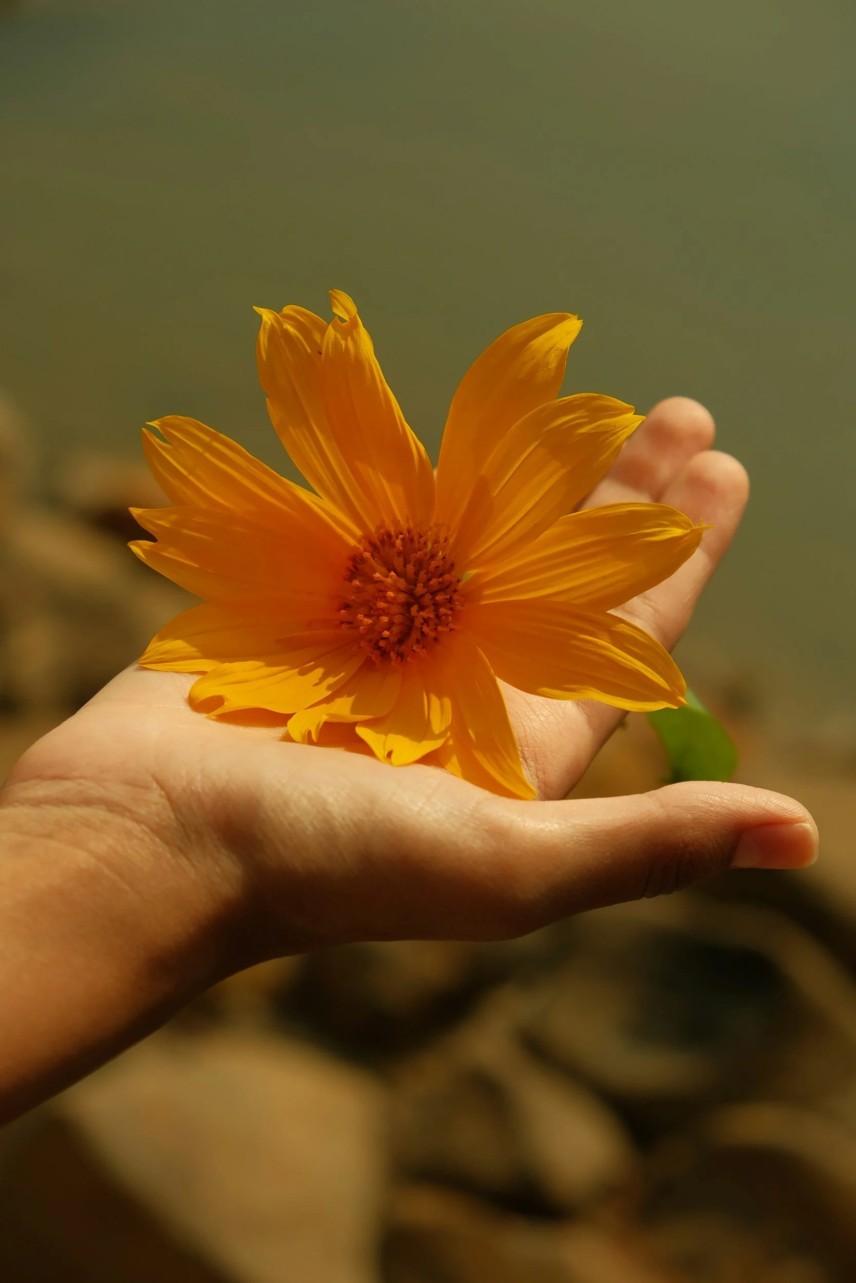 Master the hardest, most precious life skill