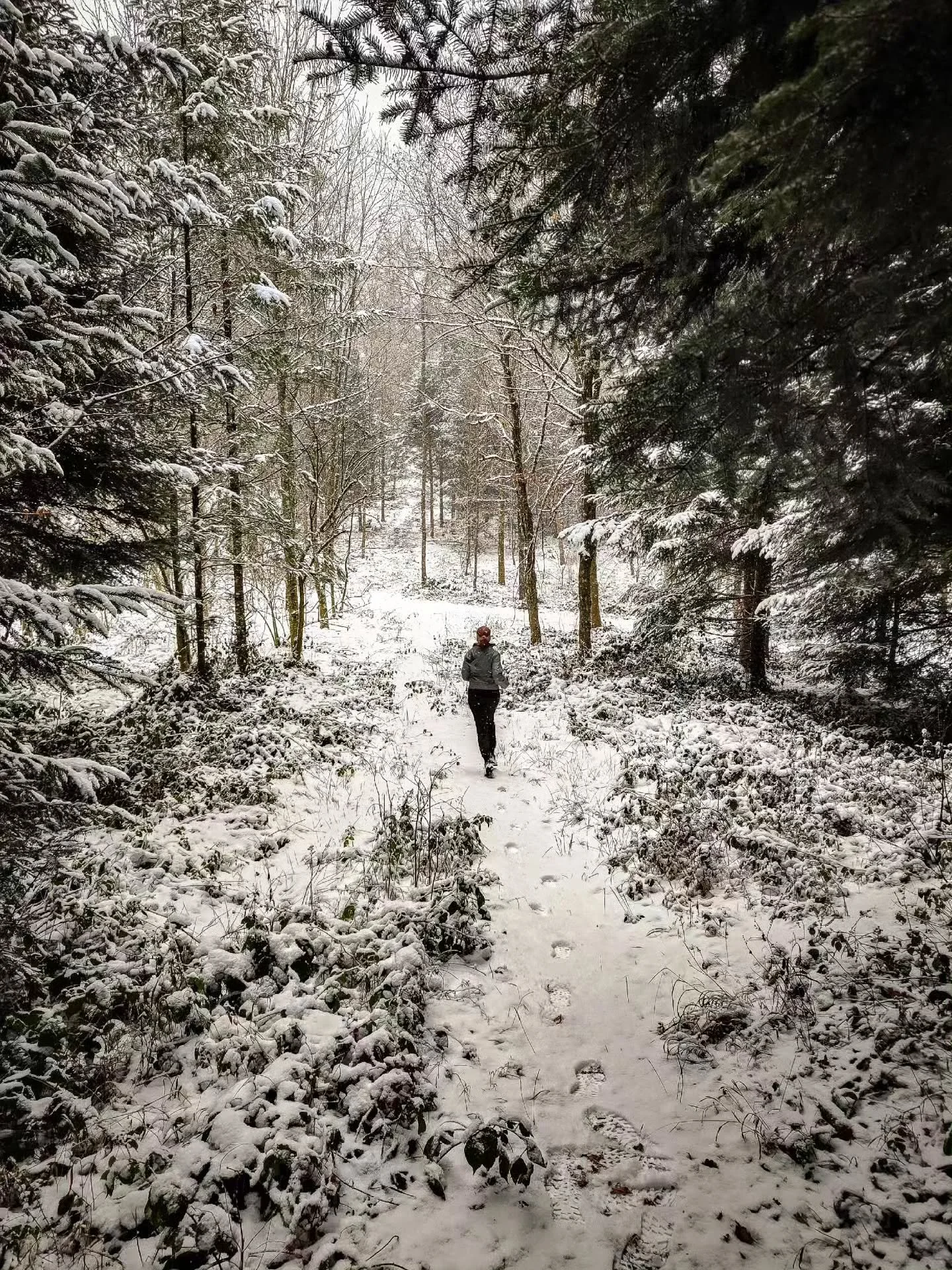 When there was snow. ☃️

#wintervibes #snowtrees #snowrun