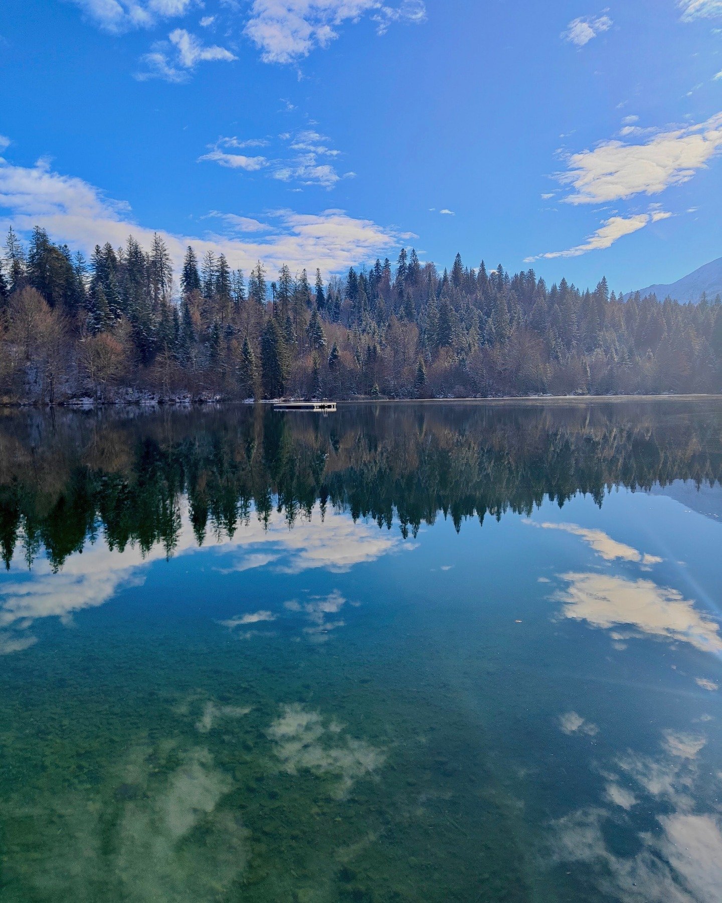 🌦 Moments of November 

#mistynovember #naturewalks #dogwalks