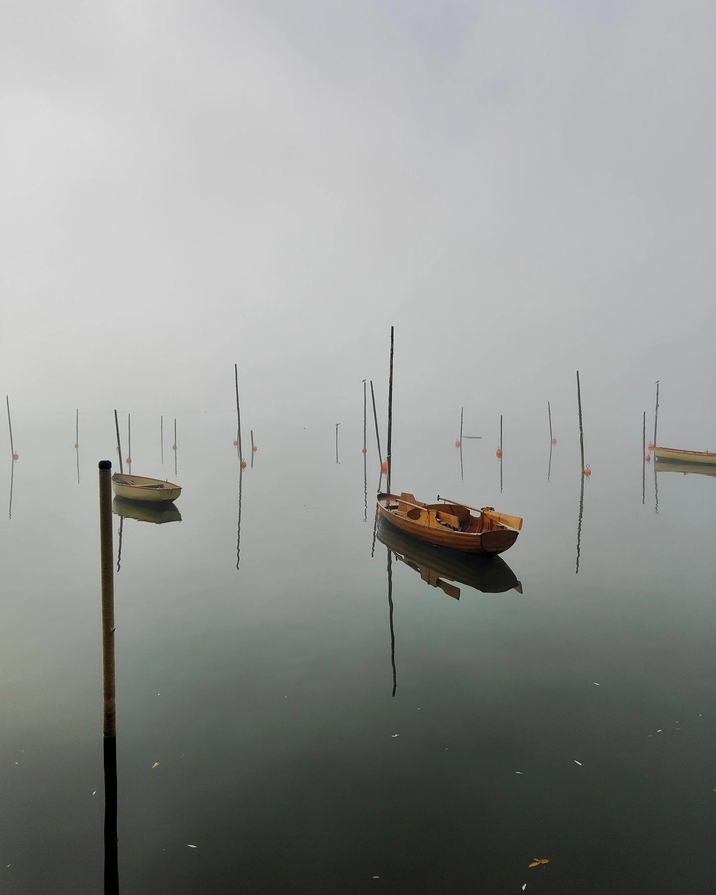 The peace of misty fall mornings 🍂

#fallmornings #morningwalks #dogwalk