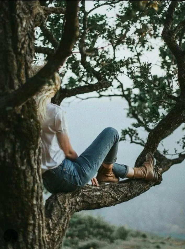 How to Build a Life You Actually Dream Of: The Value-Based Living Guide