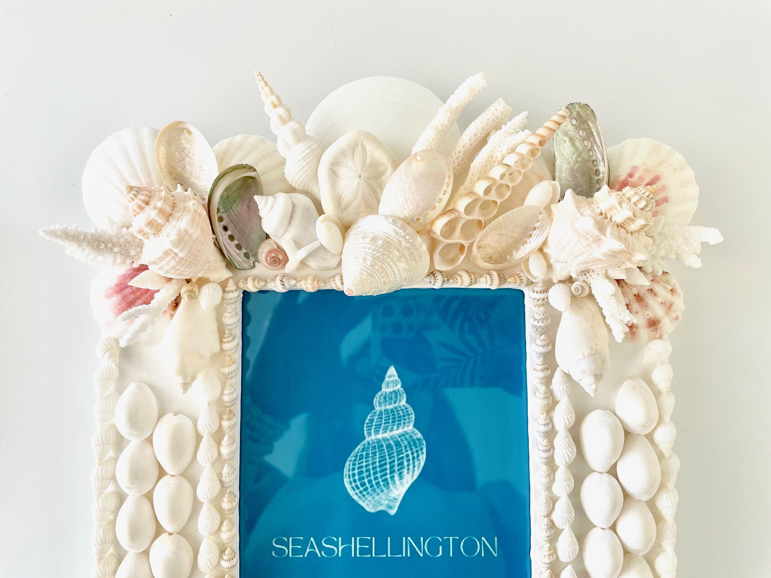 Real Seashell Photo Frame 5x7 White Beach Coastal Decor Beach Wedding Gift Handmade Shell Frame Anniversary Gift Graduation Gift Birthday Gift Christmas Gift Mothers Day Gift