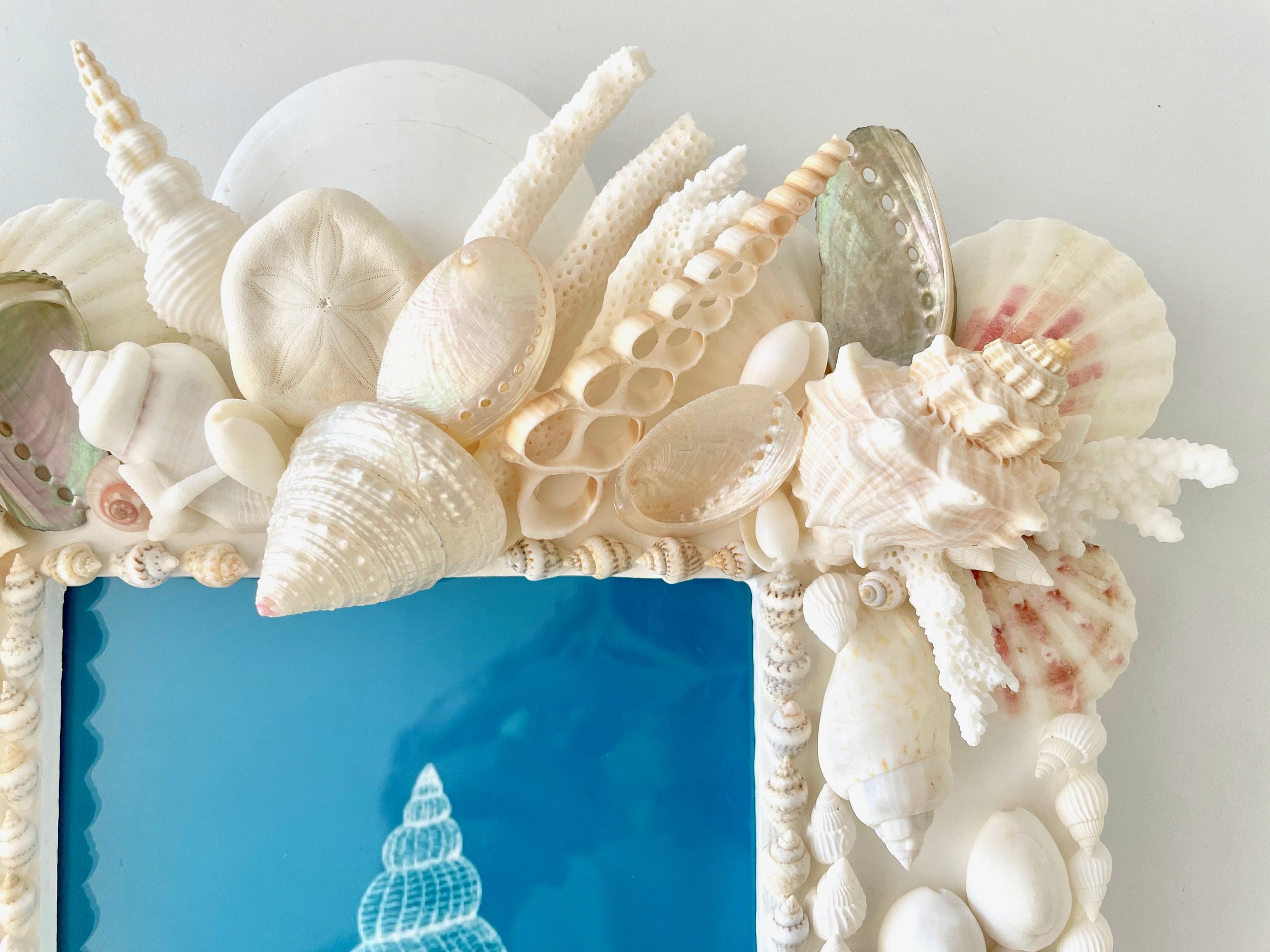 Real Seashell Photo Frame 5x7 White Beach Coastal Decor Beach Wedding Gift Handmade Shell Frame Anniversary Gift Graduation Gift Birthday Gift Christmas Gift Mothers Day Gift