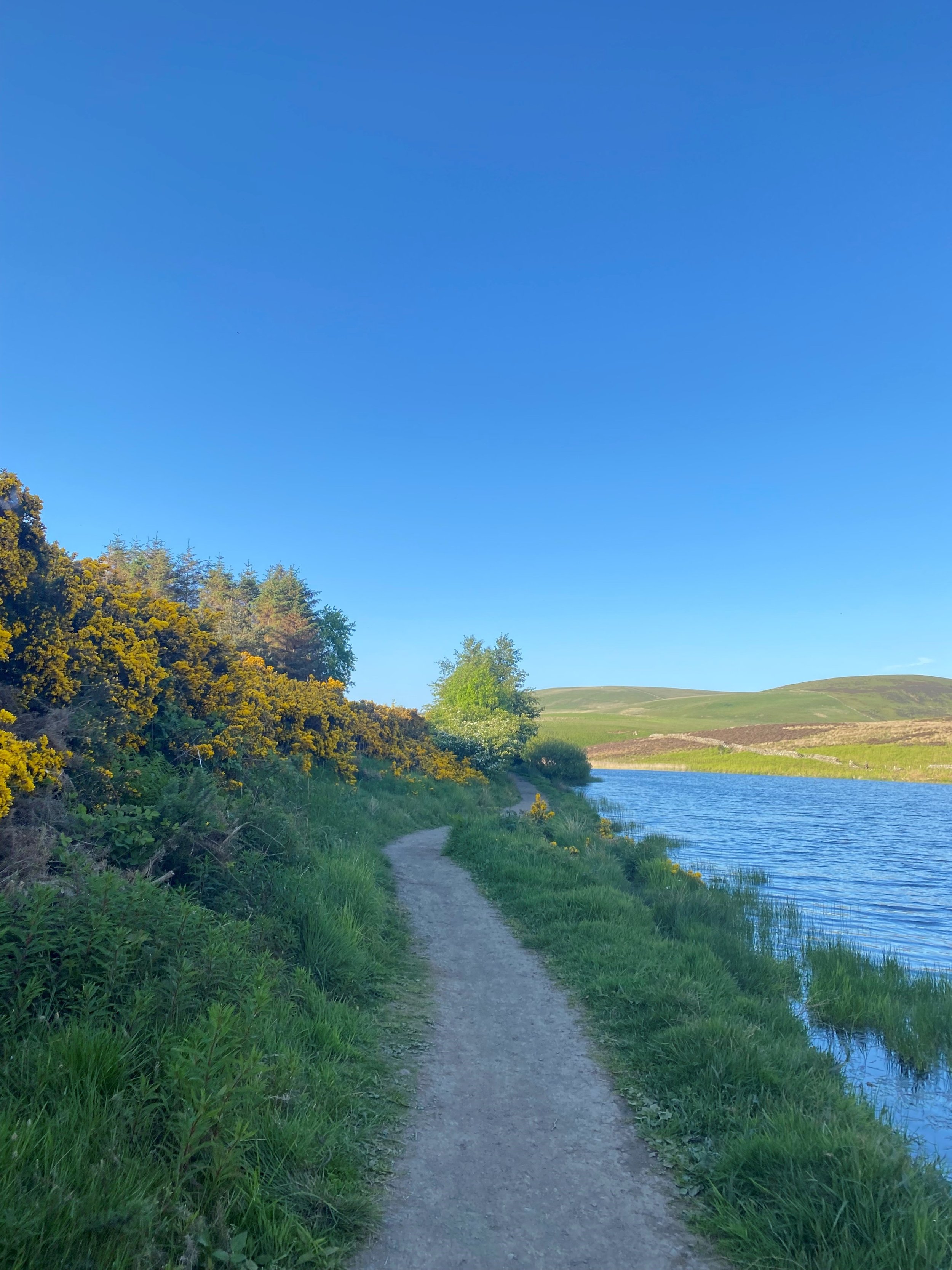 Threipmuir Reservoir, July 2023