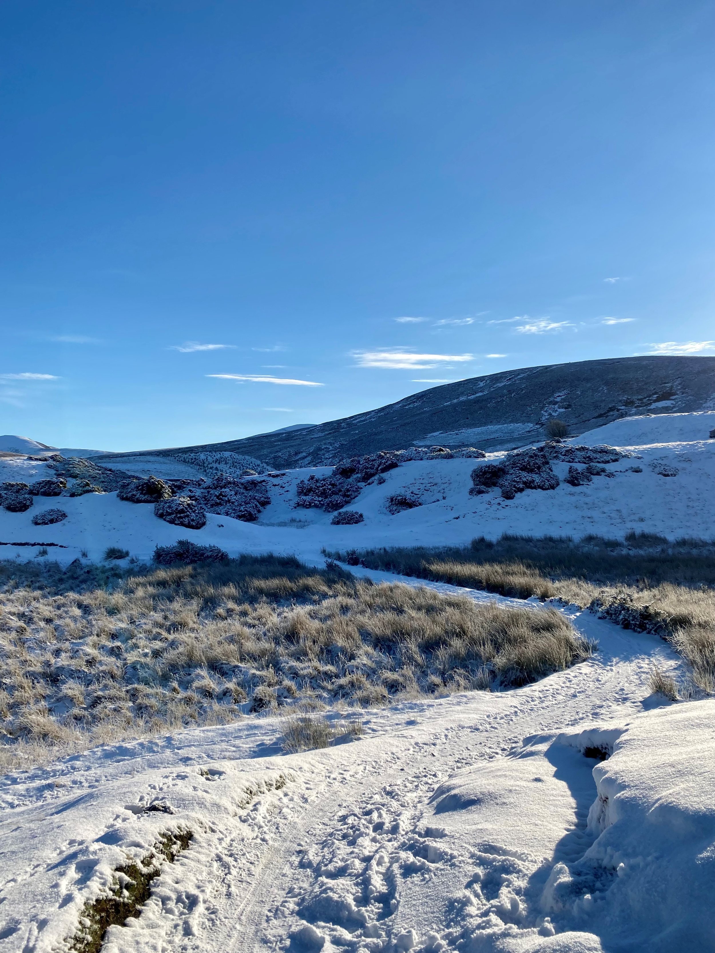 Pentland Way Dec 2024