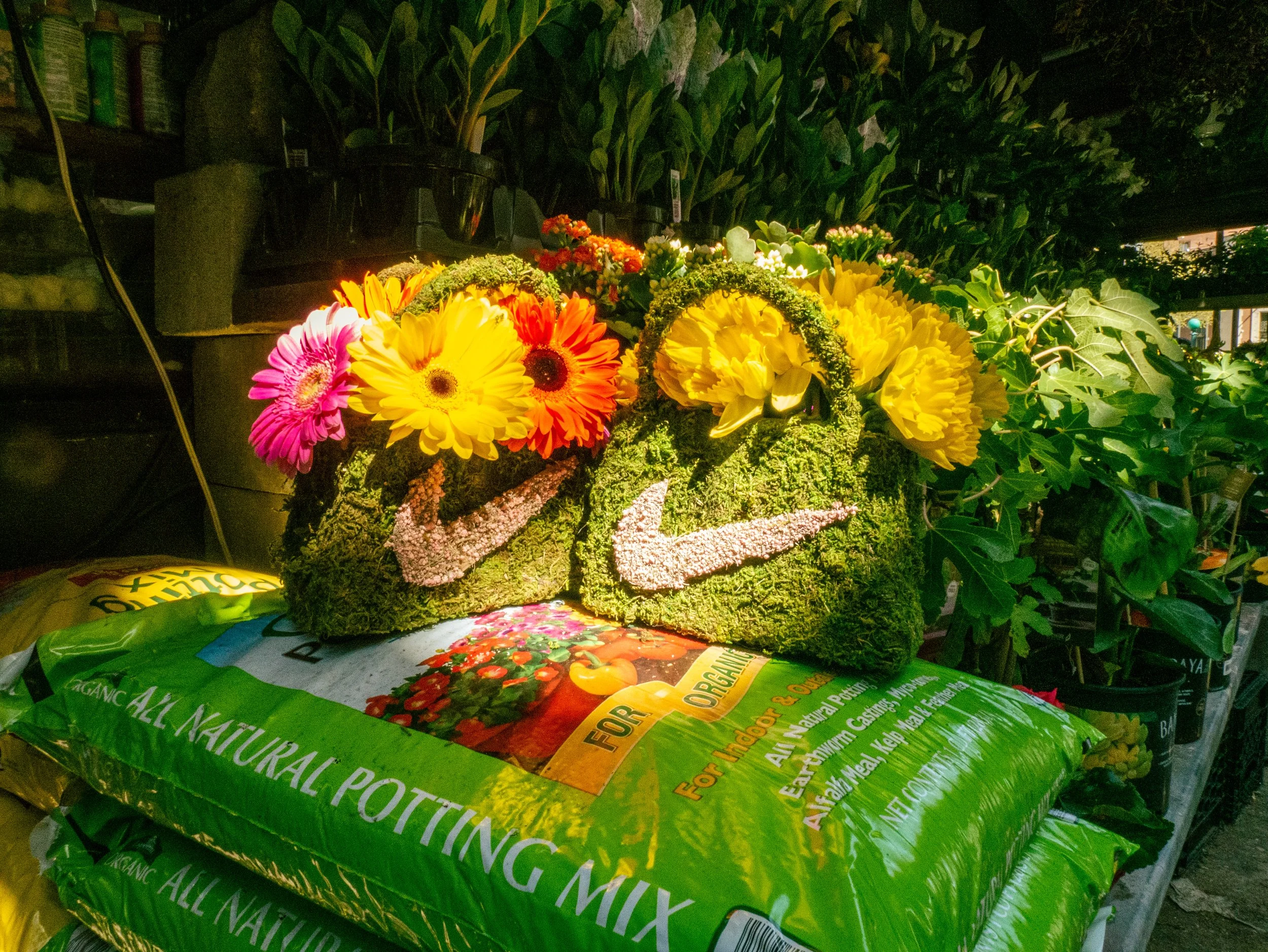 P1040444.jpeg