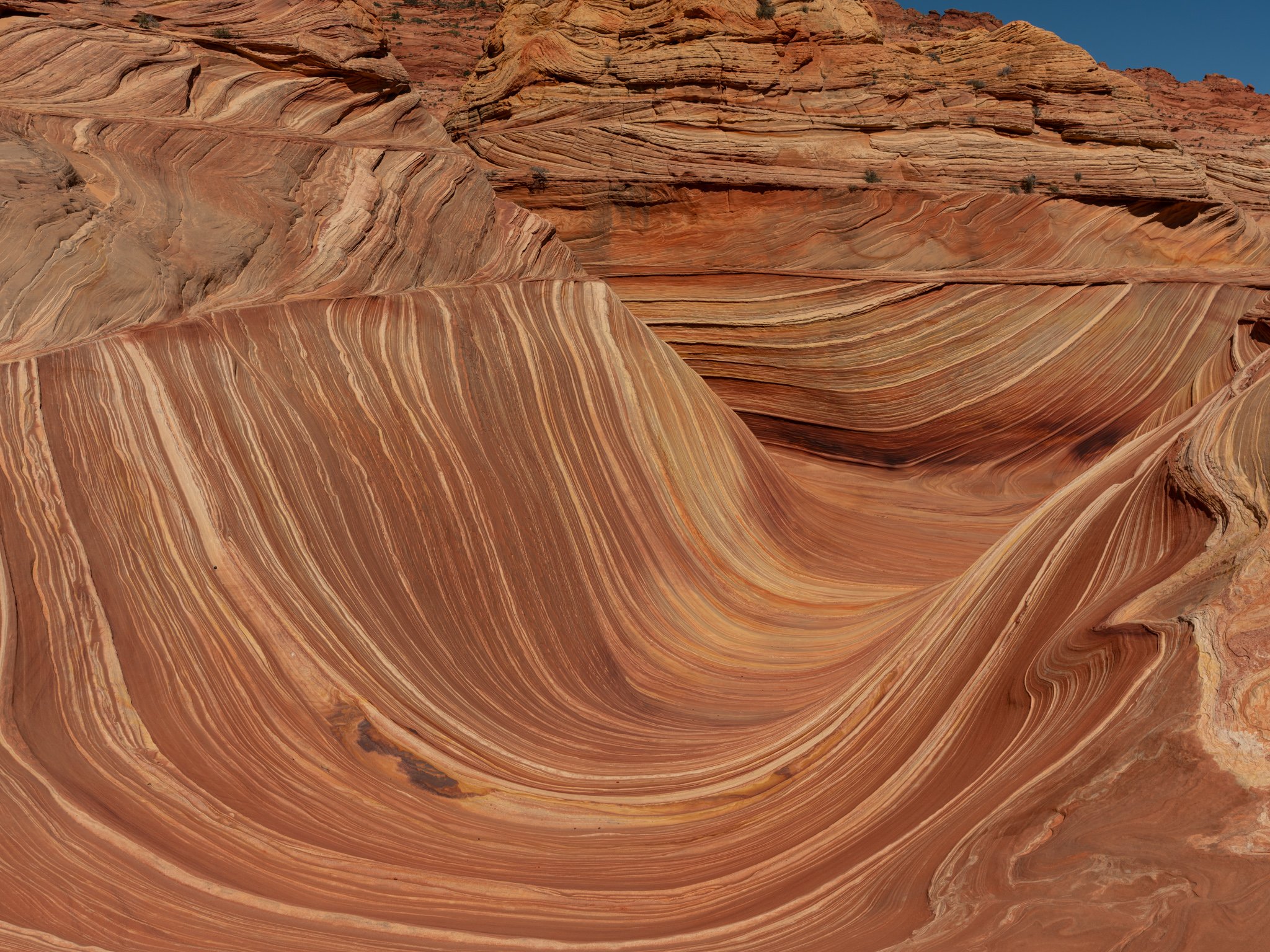 The Wave, Arizona