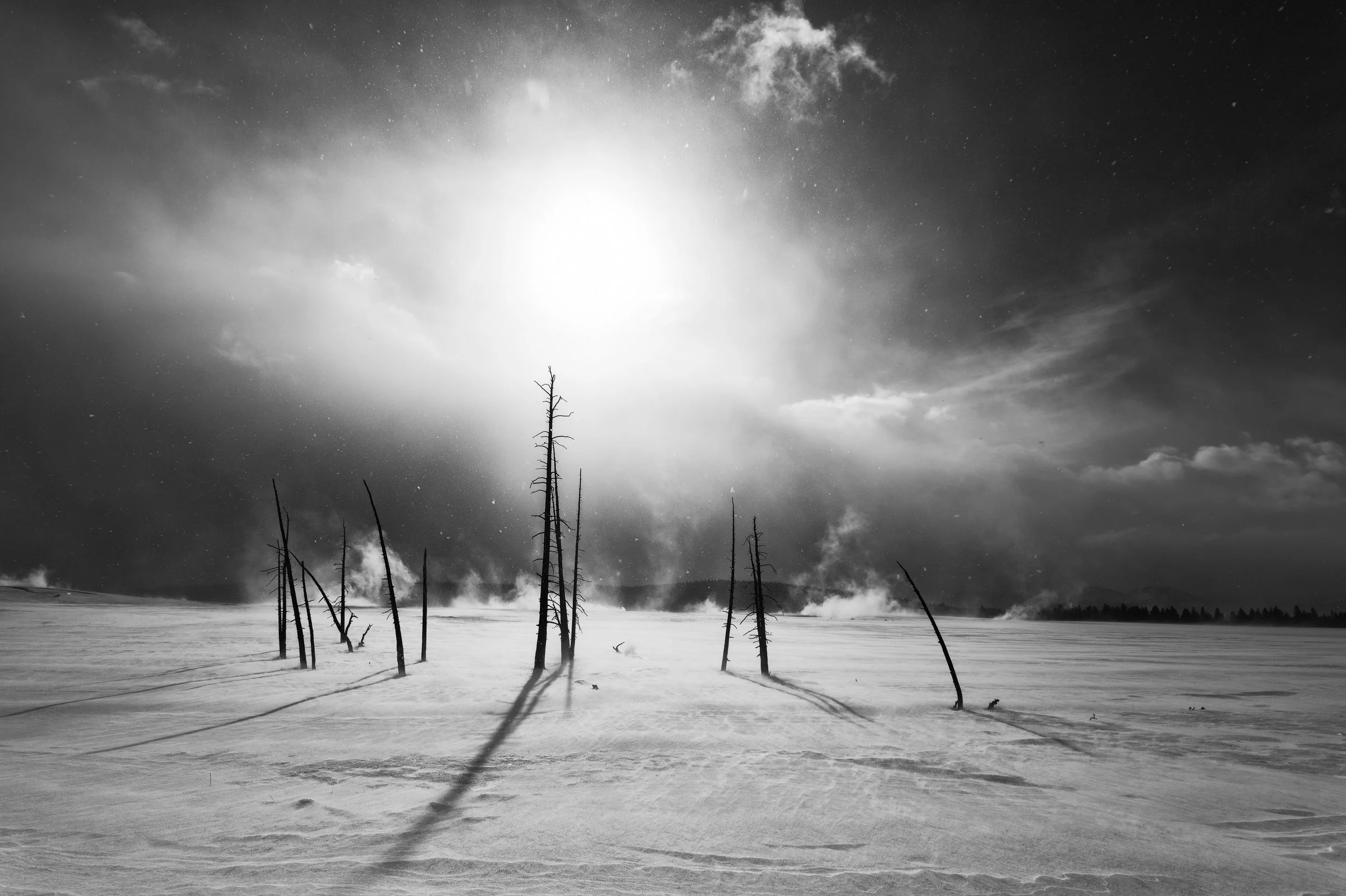 Snowstorm, Yellowstone National Park, Wyoming