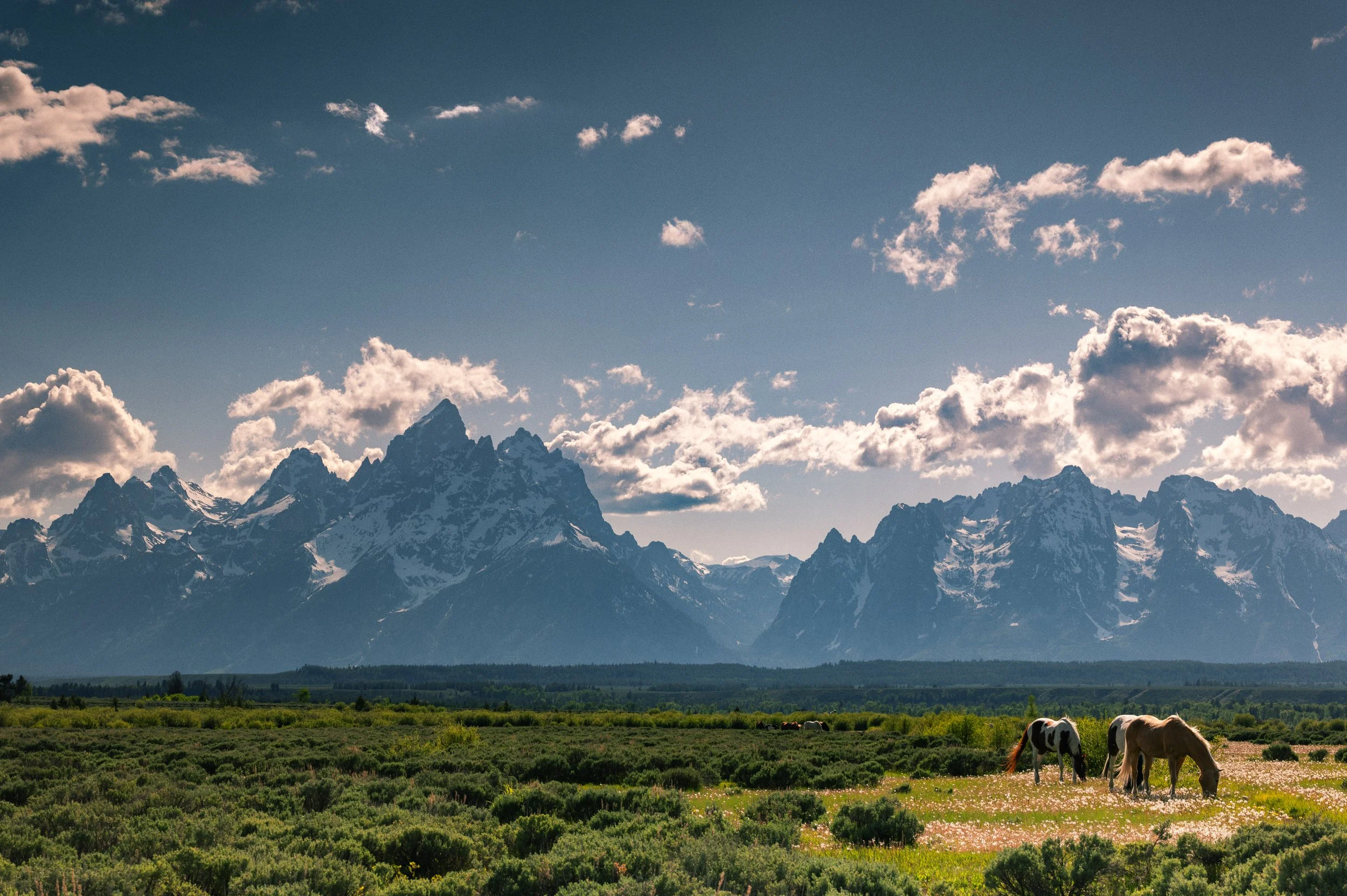 Grand Teton National Park