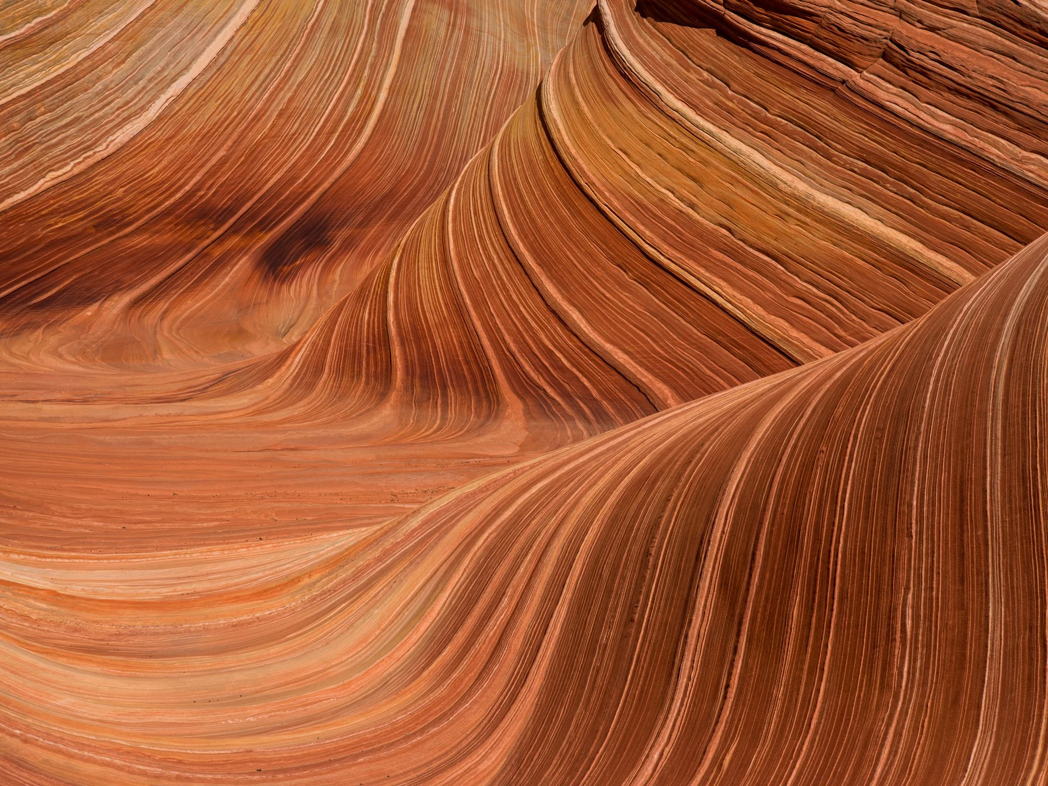The Wave, Arizona