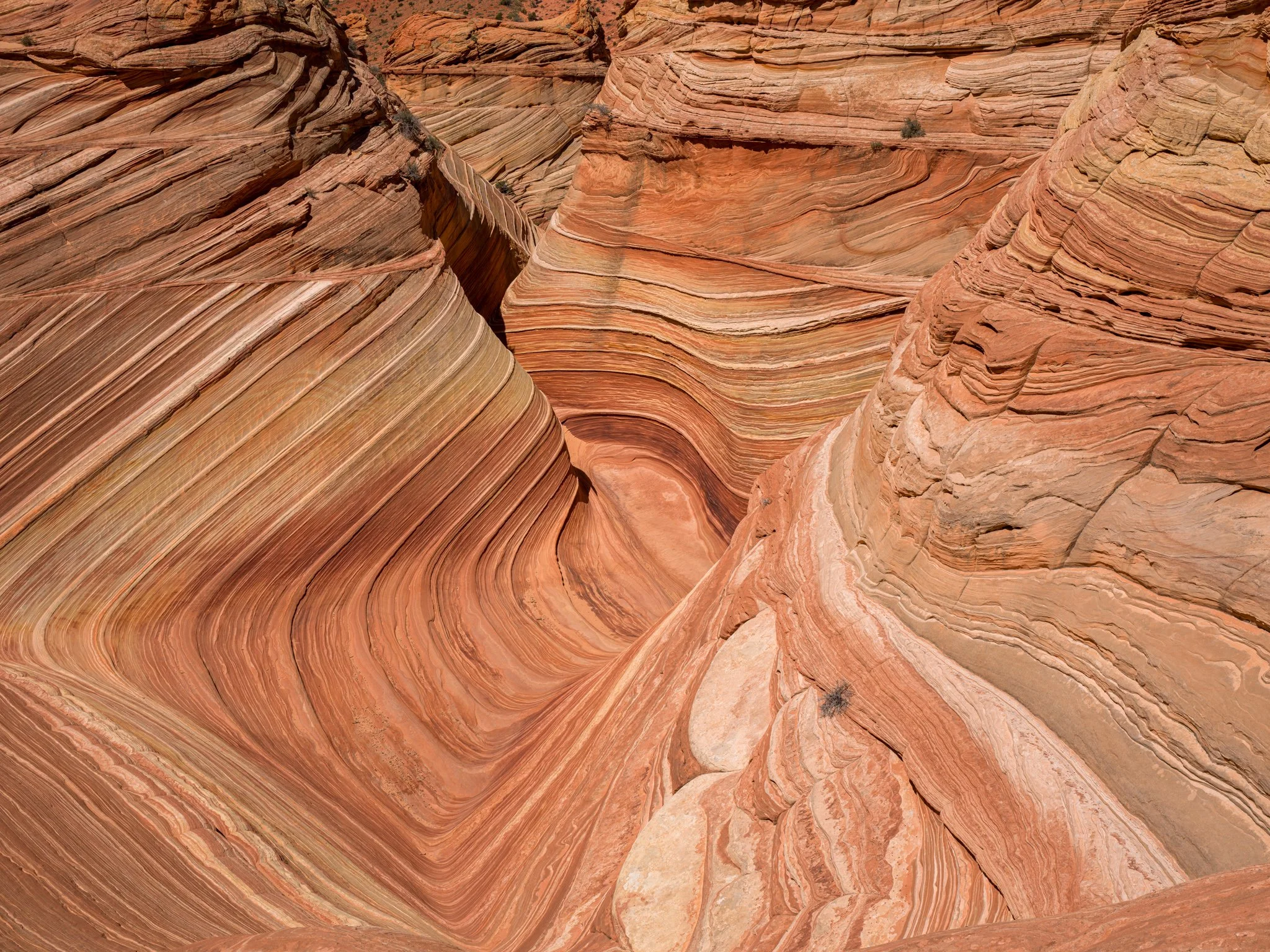 The Wave, Arizona